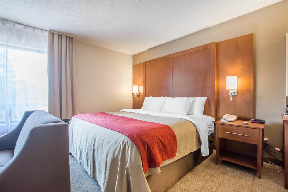 Double Queen Size Bed