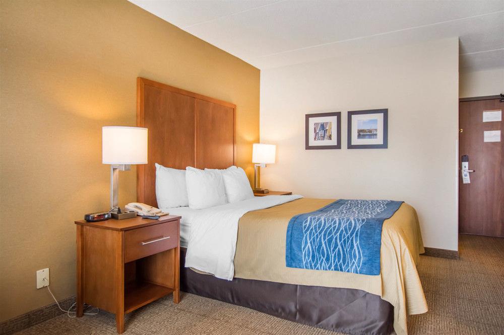 Double Queen Size Bed