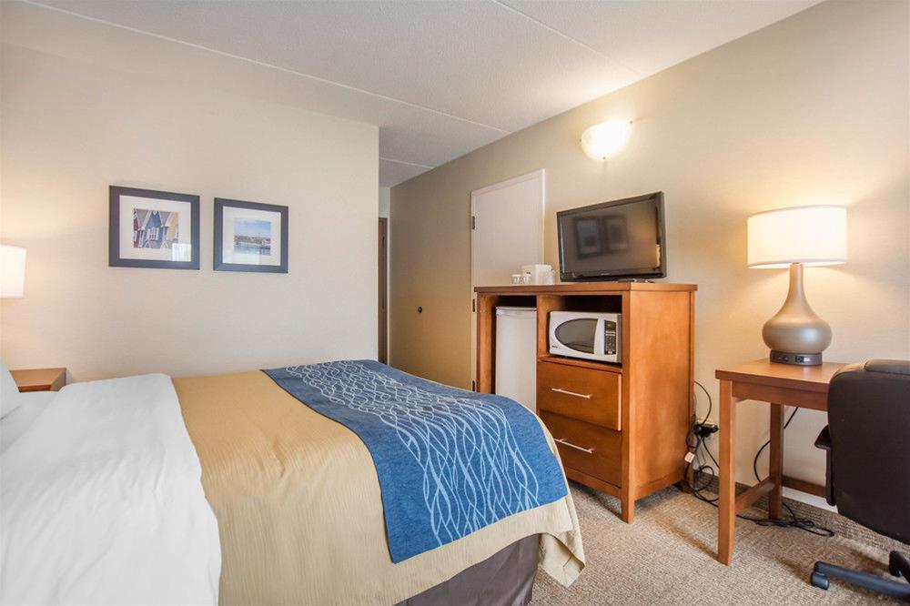 Double Queen Size Bed