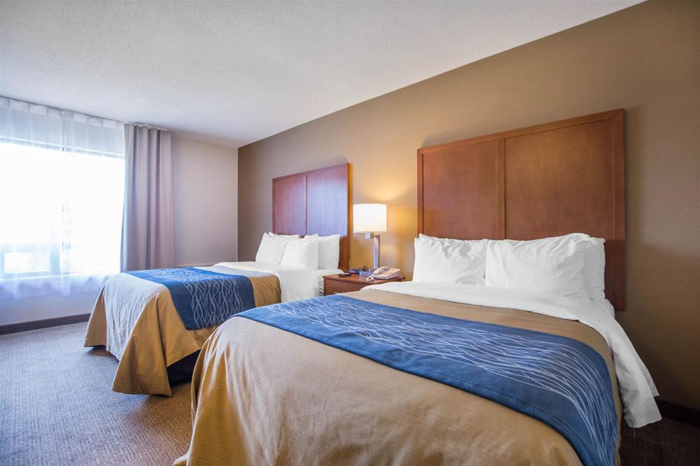 Double Two Queen Beds