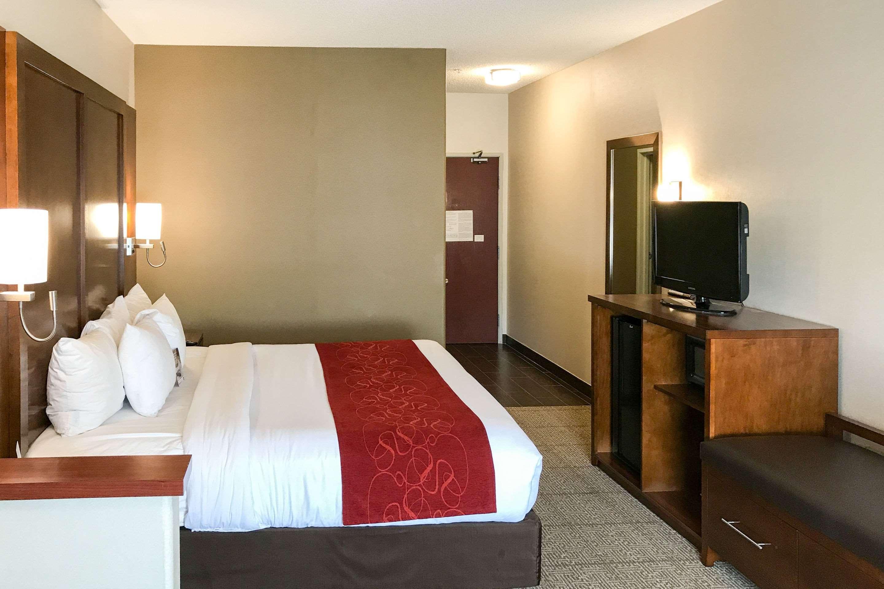 Double King Bed Non Smoking