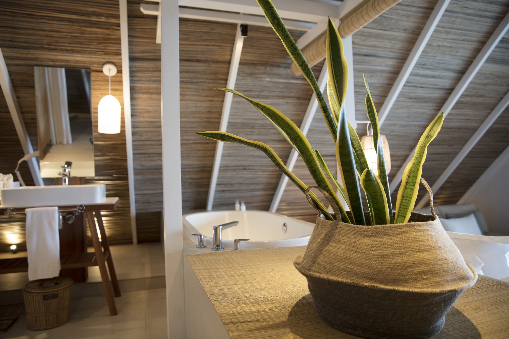 Junior Suite Capacity 1