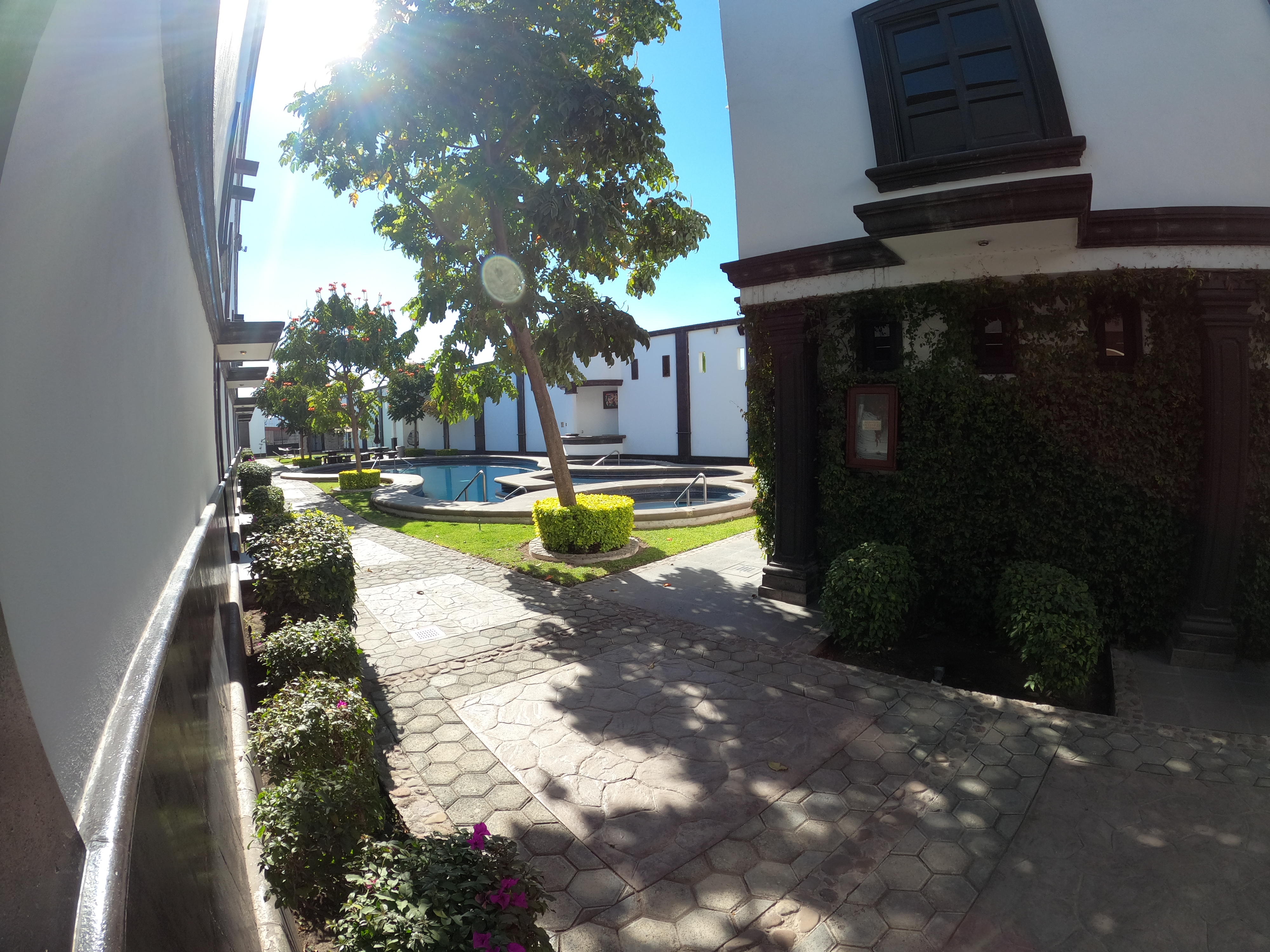 Junior Suite Pool View