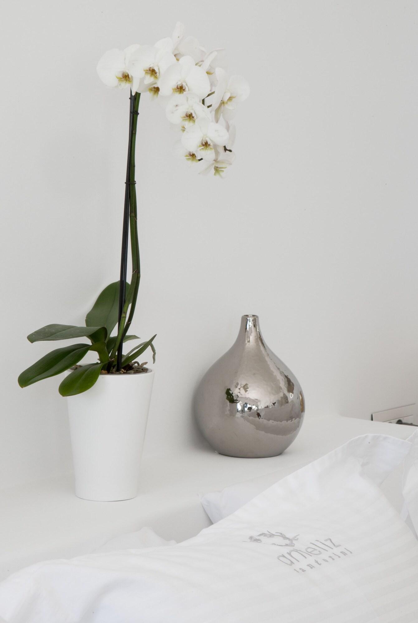 Suite Pool View King Bed