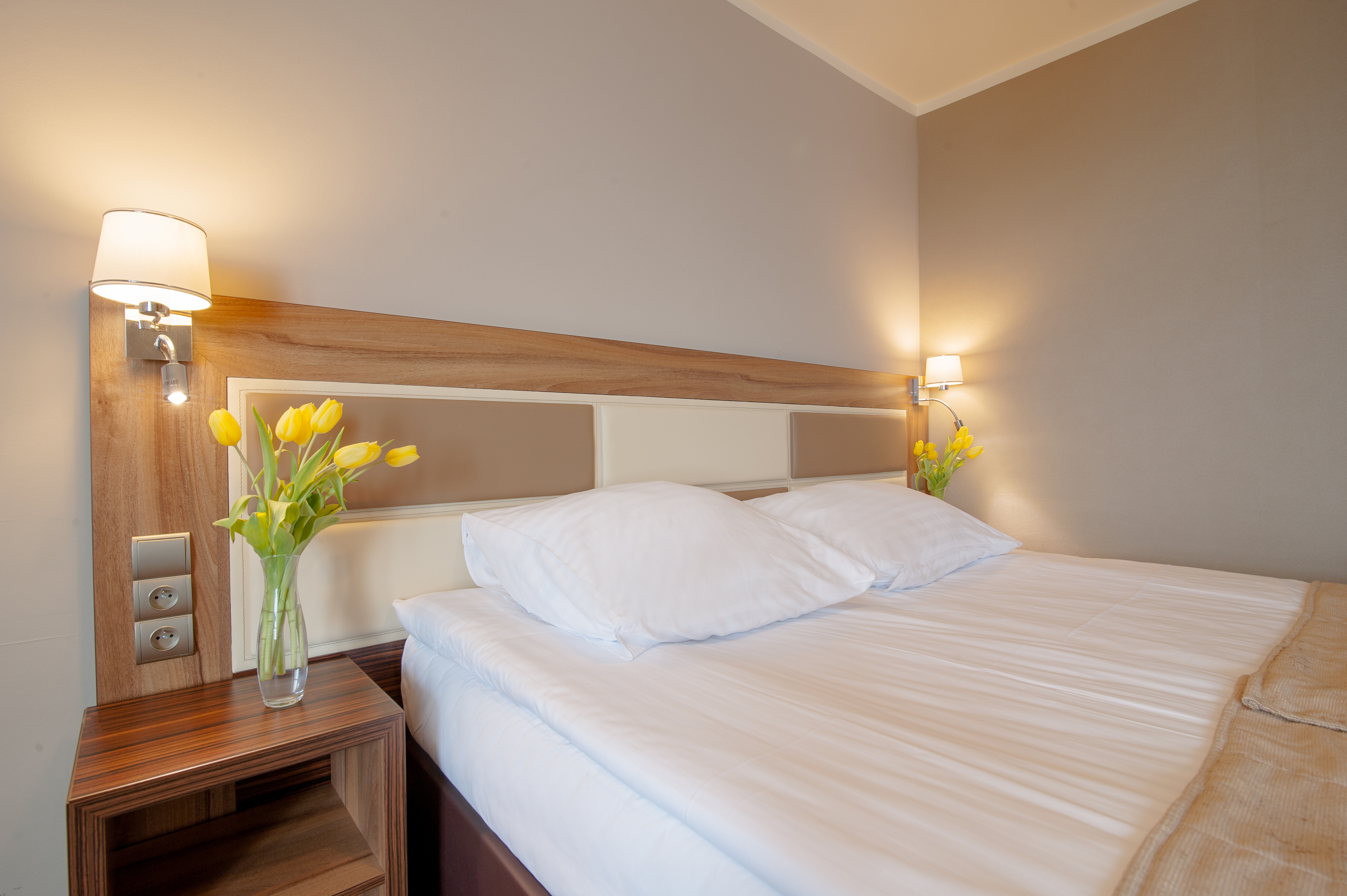 Double or Twin Standard