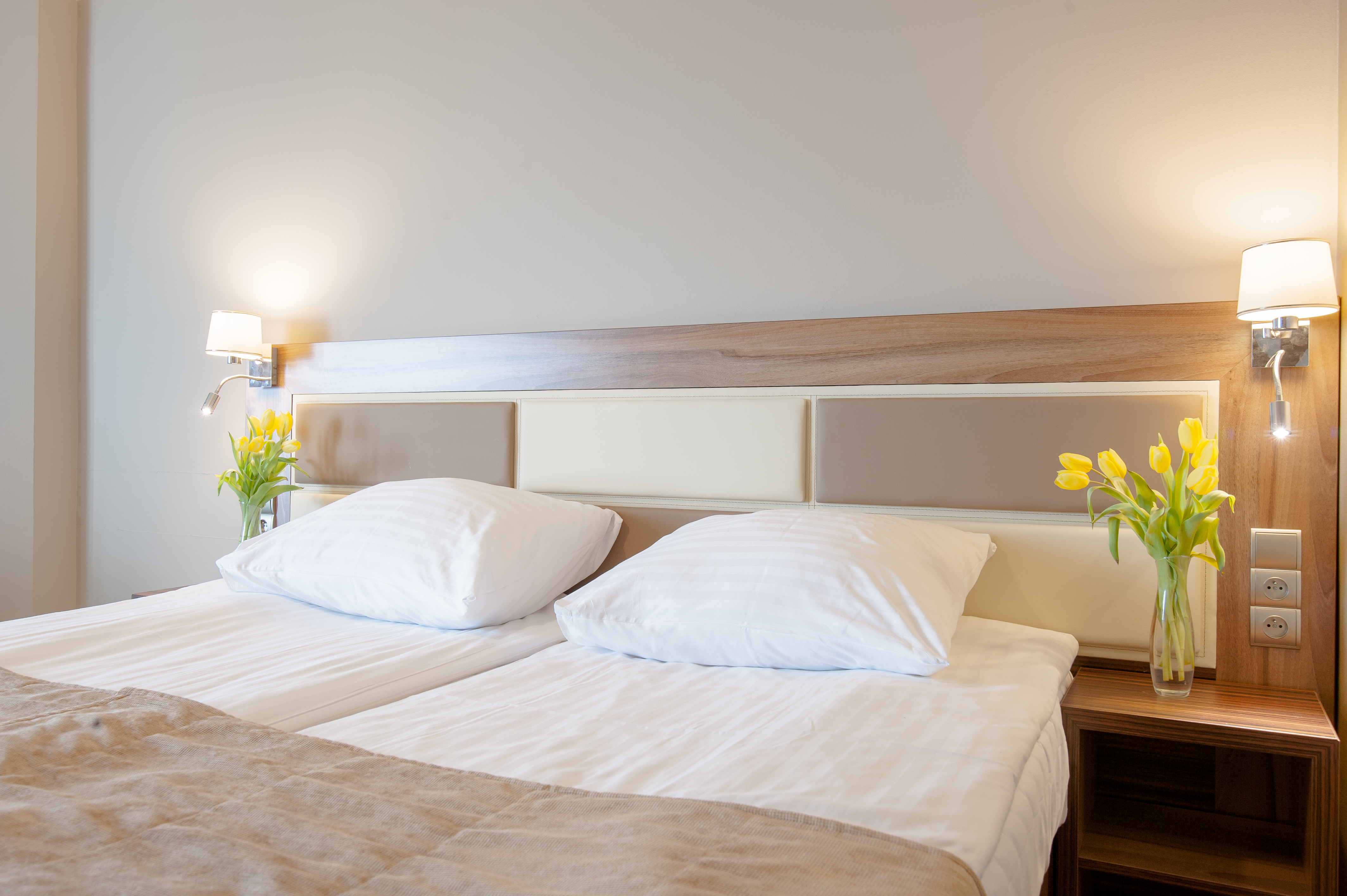 Double or Twin Standard