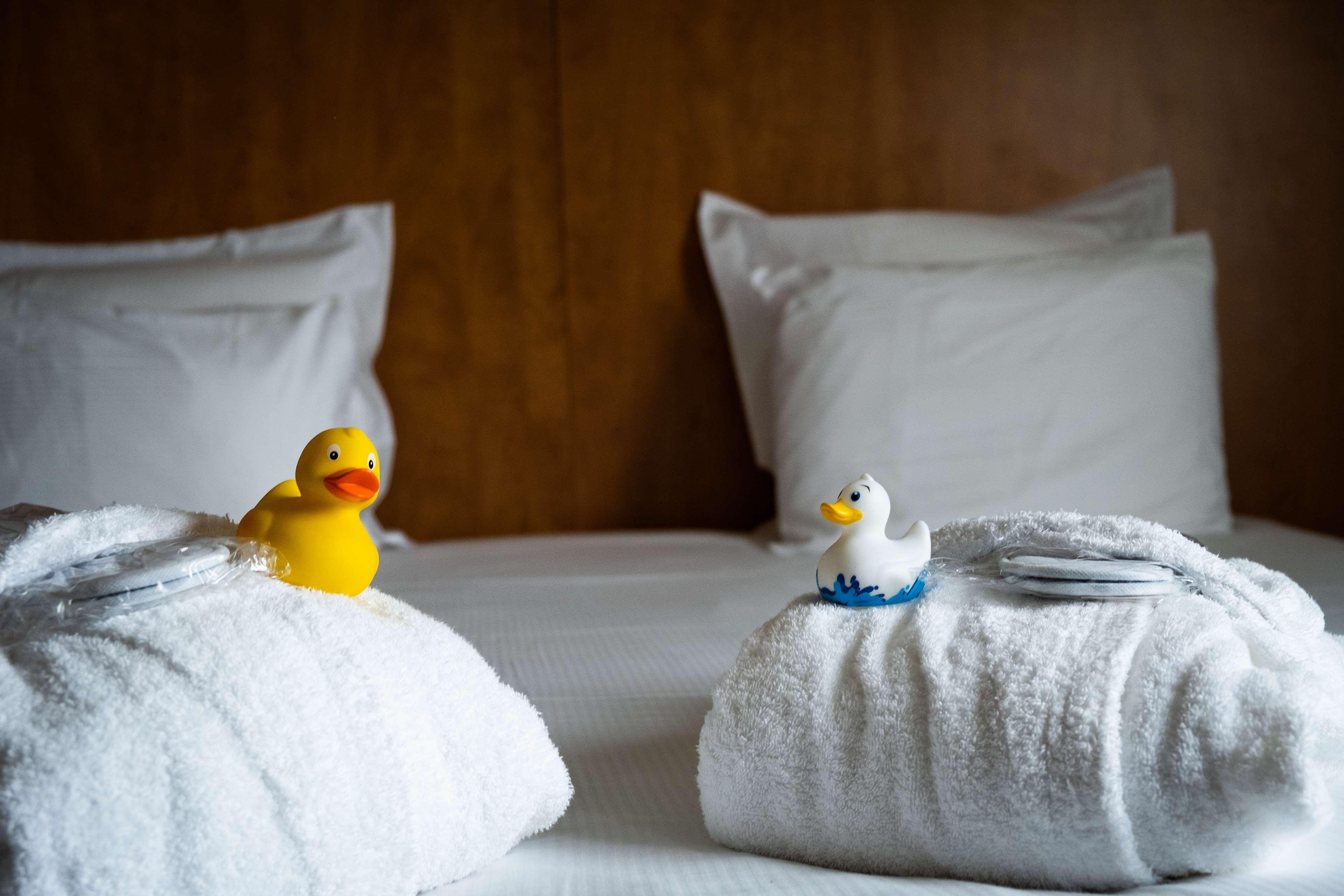 Double King Bed Non Smoking