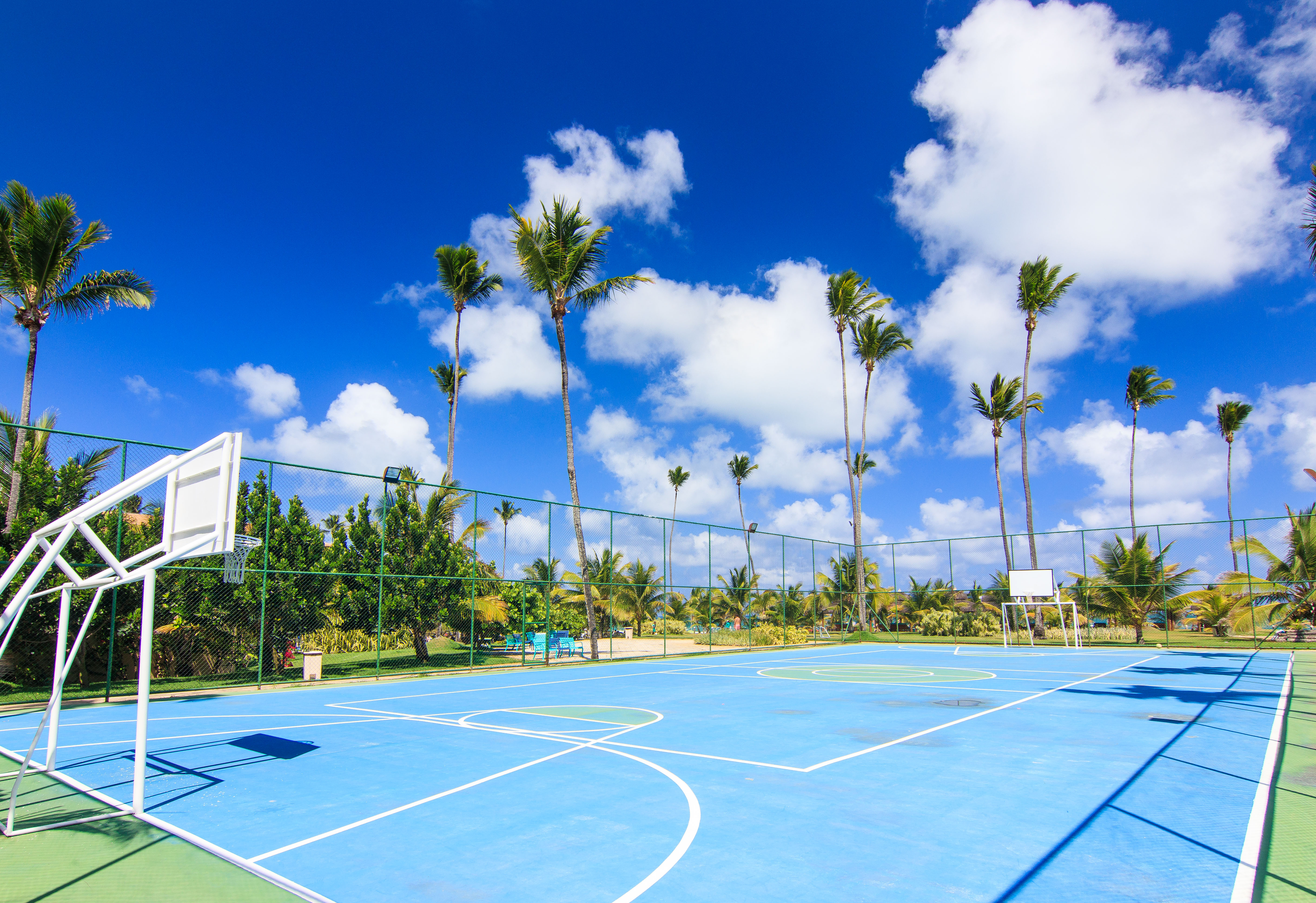 Sports and Entertainment