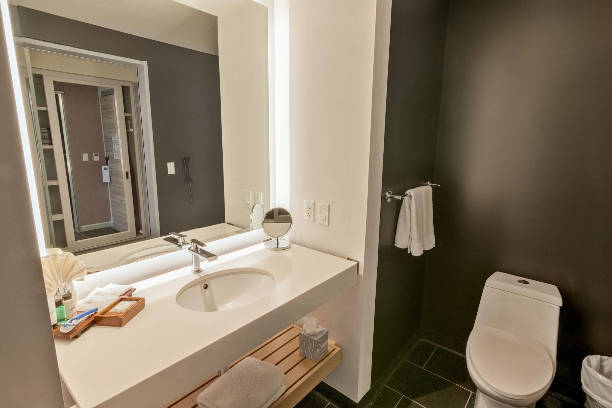 Double City View King Bed