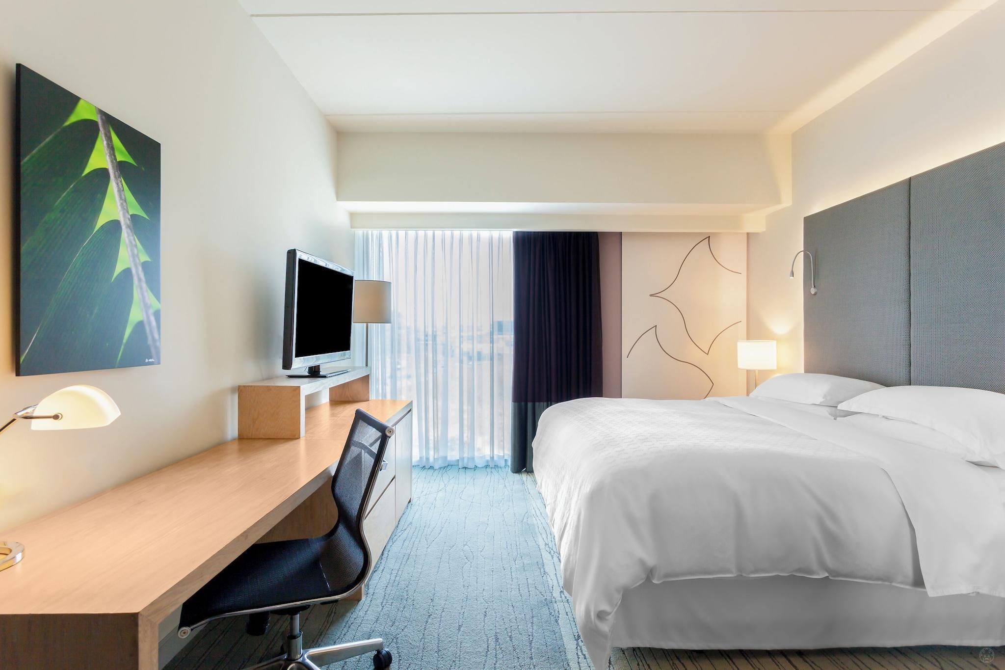 Double City View King Bed