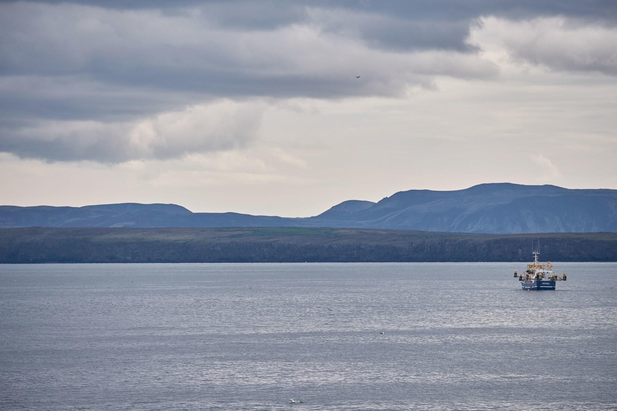 Suite Queen Size Bed