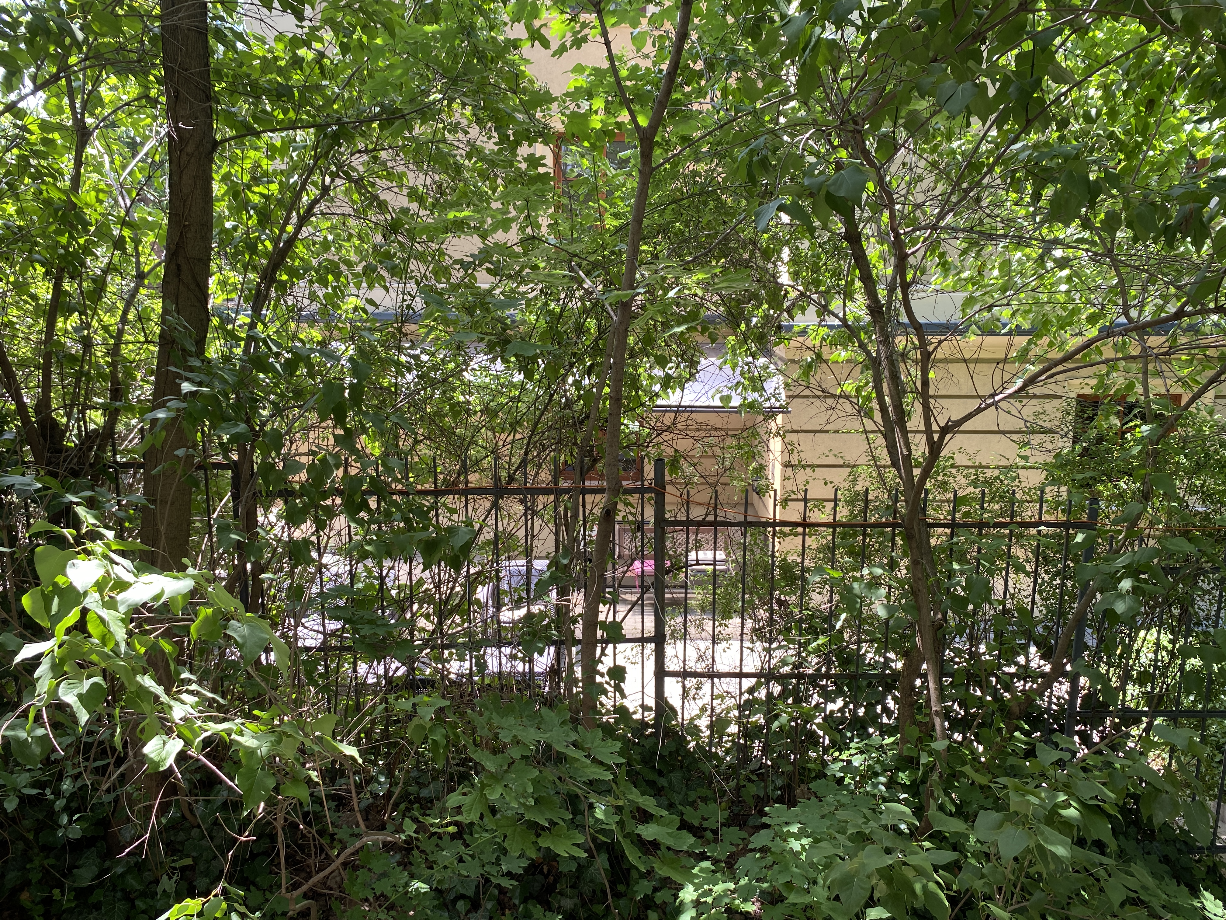 Apartment Capacity 2