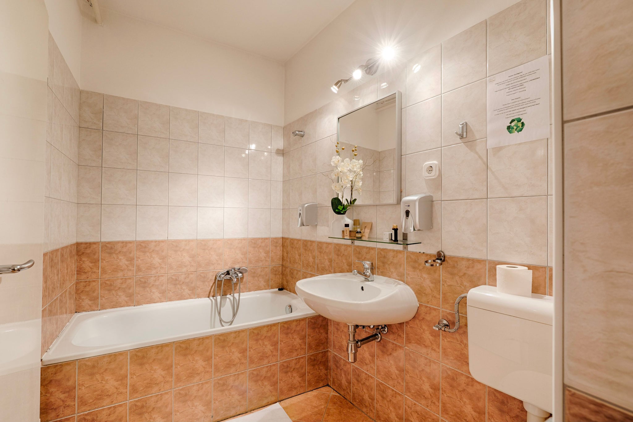 Double or Twin Economy