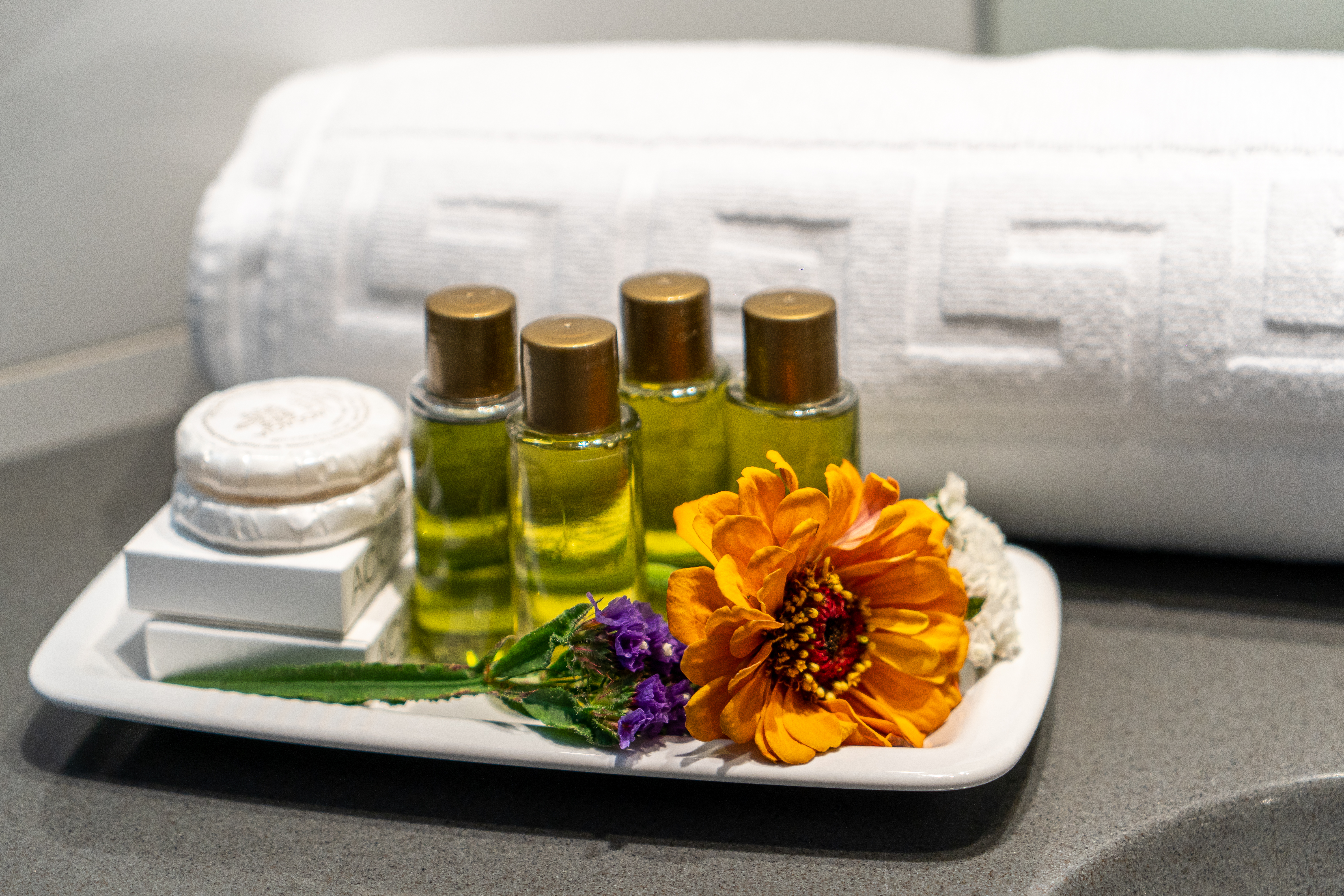 Junior Suite Capacity 2