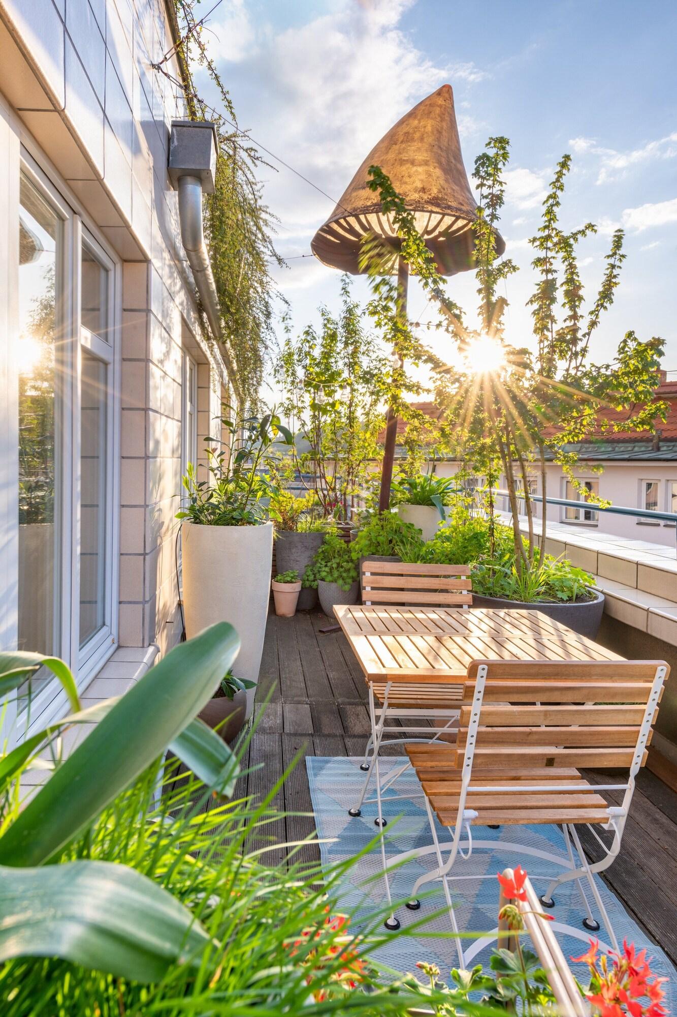 Double or Twin Superior