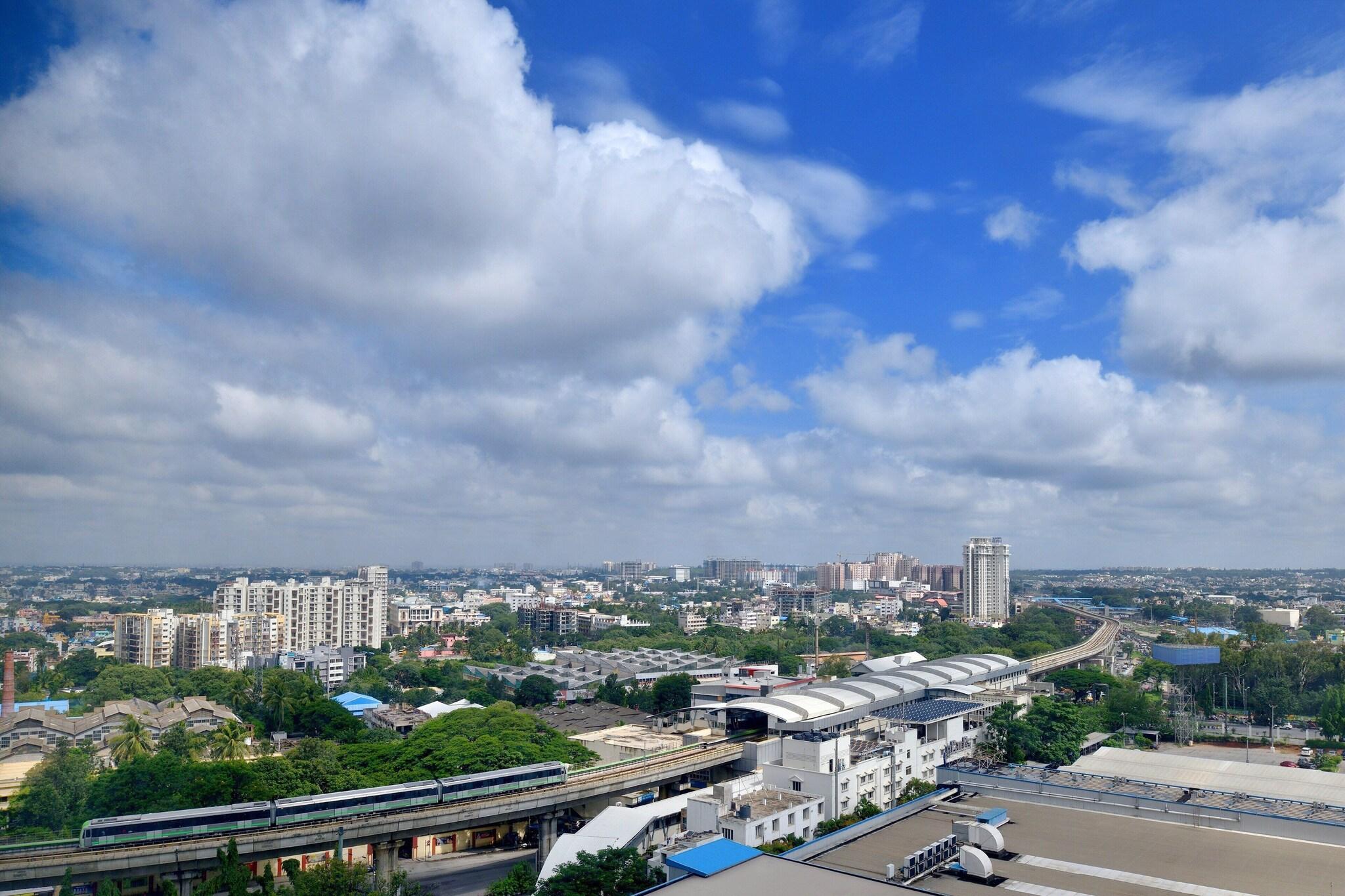 Double City View King Bed