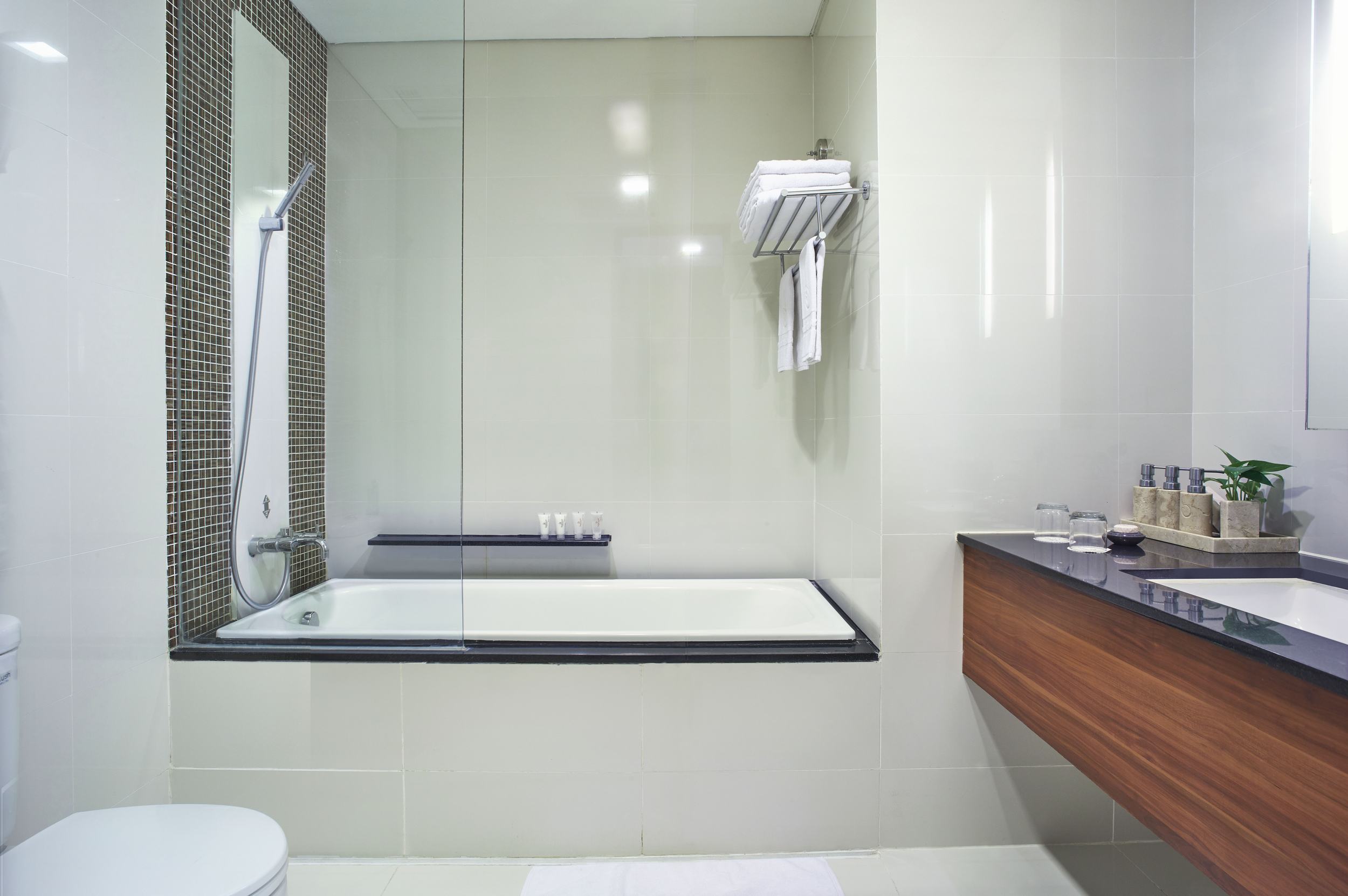 Suite Executive One Bedroom