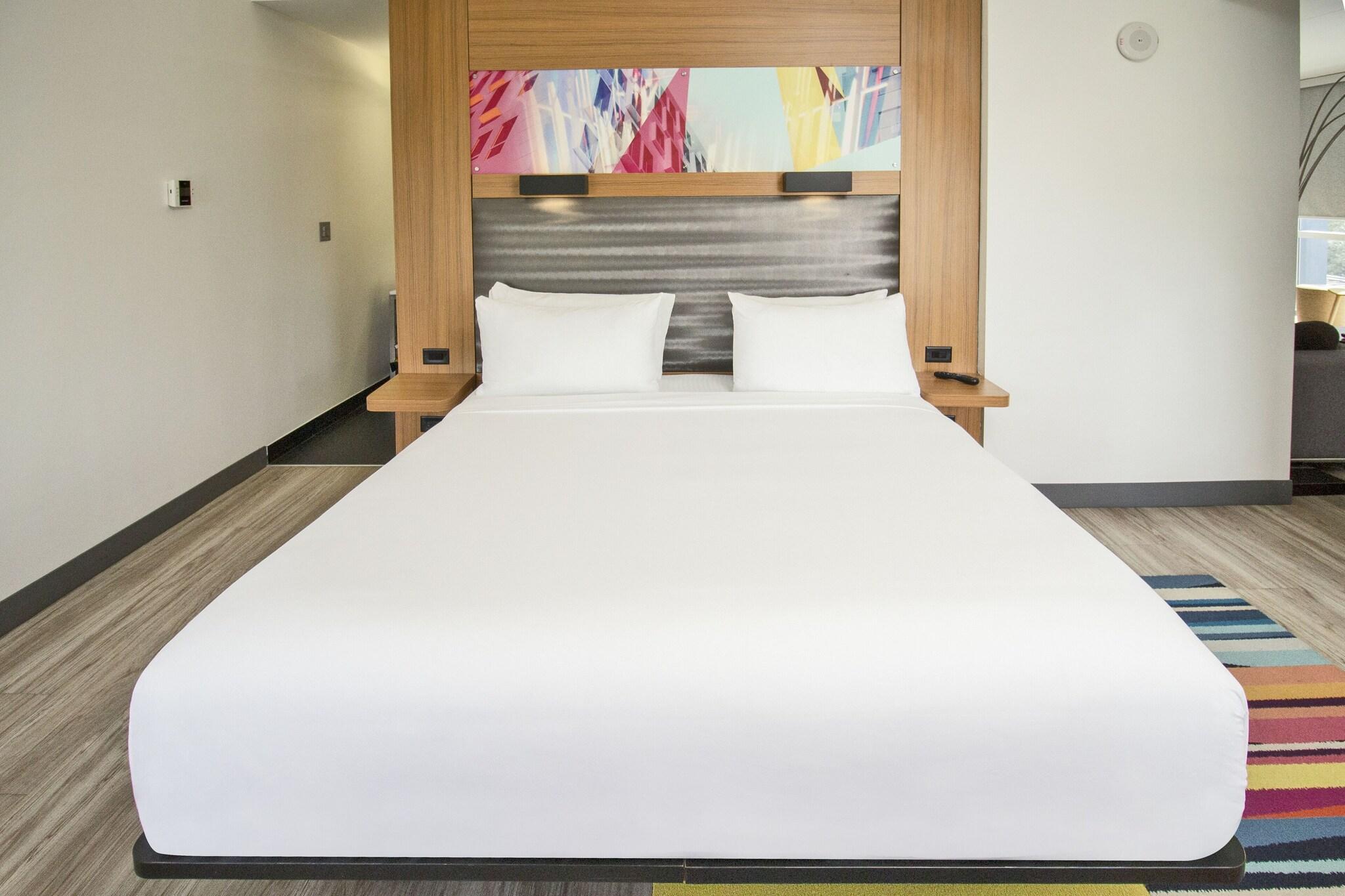 Suite King Bed One Bedroom 