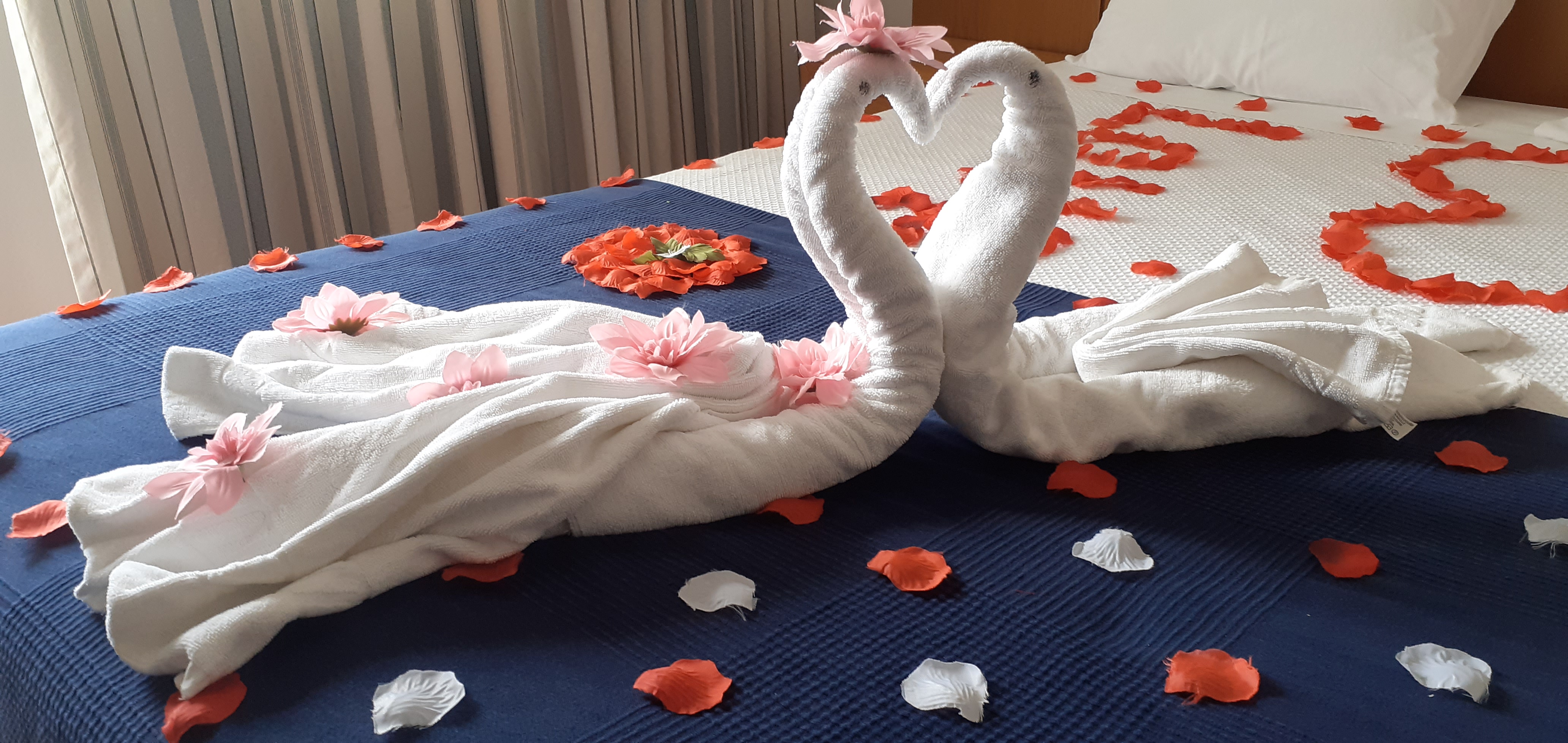 Double or Twin Superior