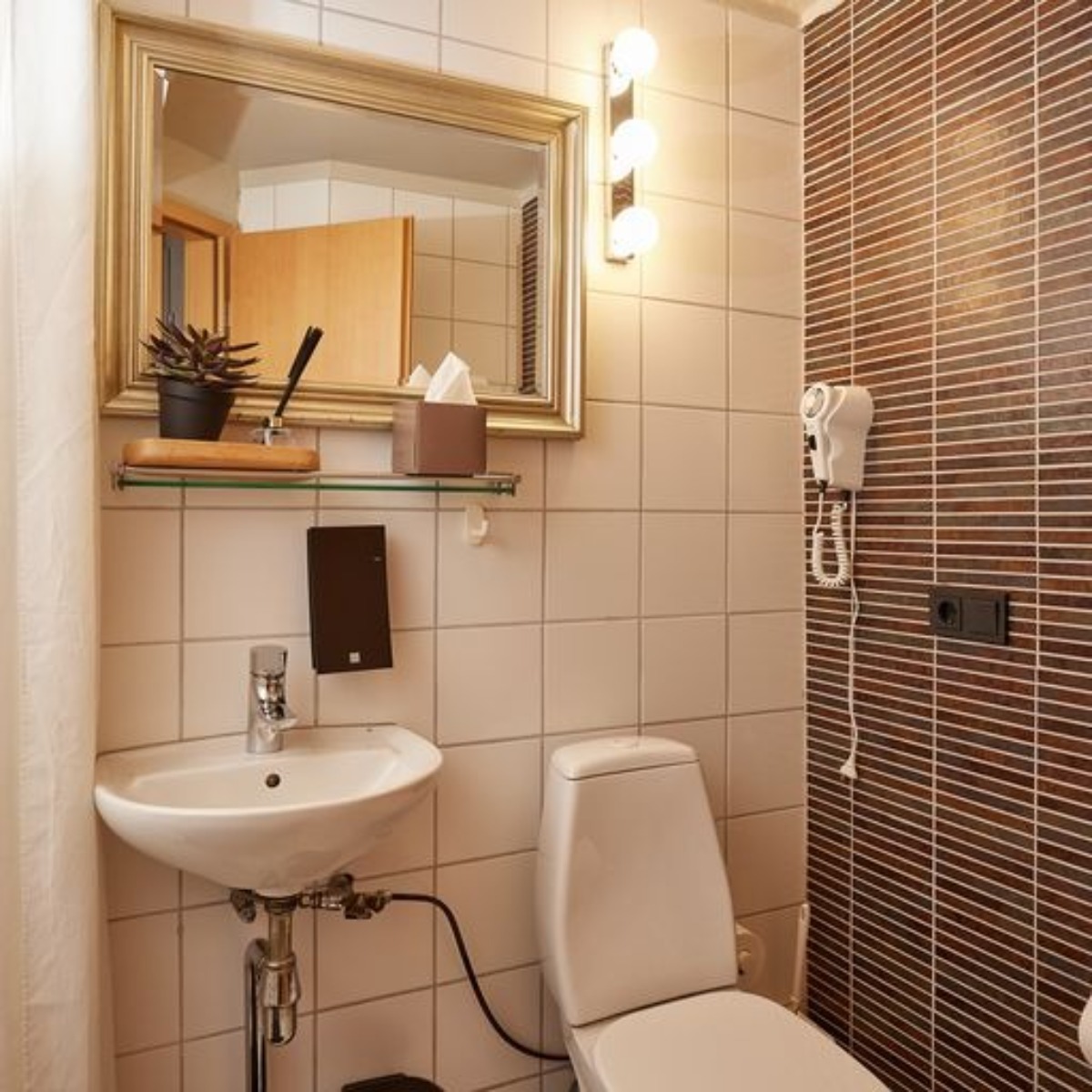 Double or Twin Standard