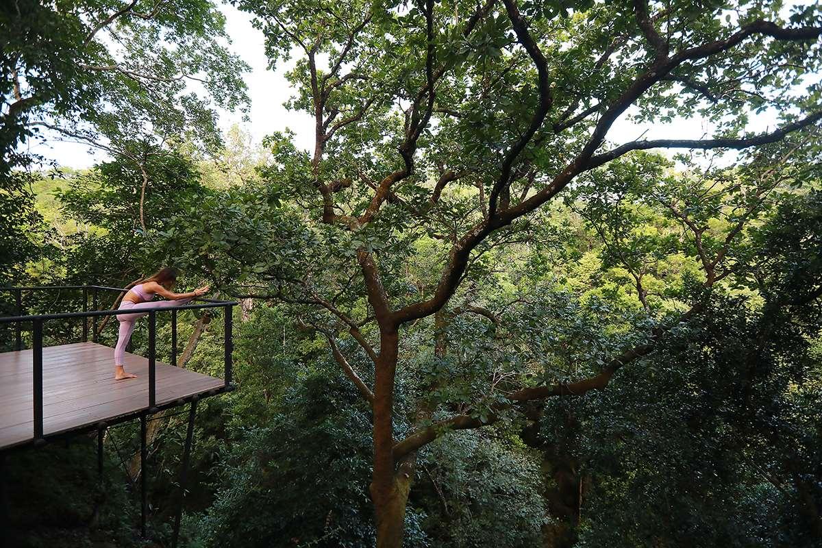 General View