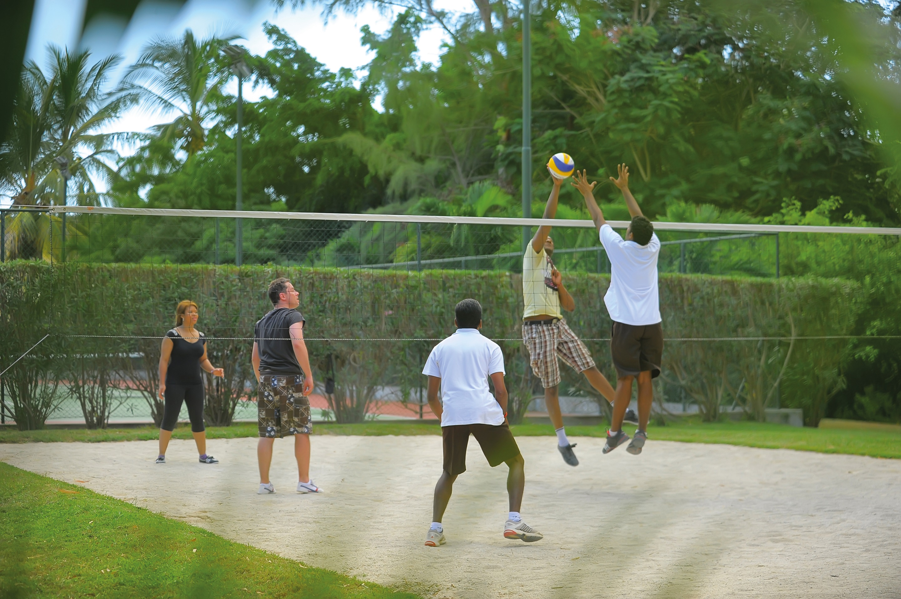 Sports and Entertainment