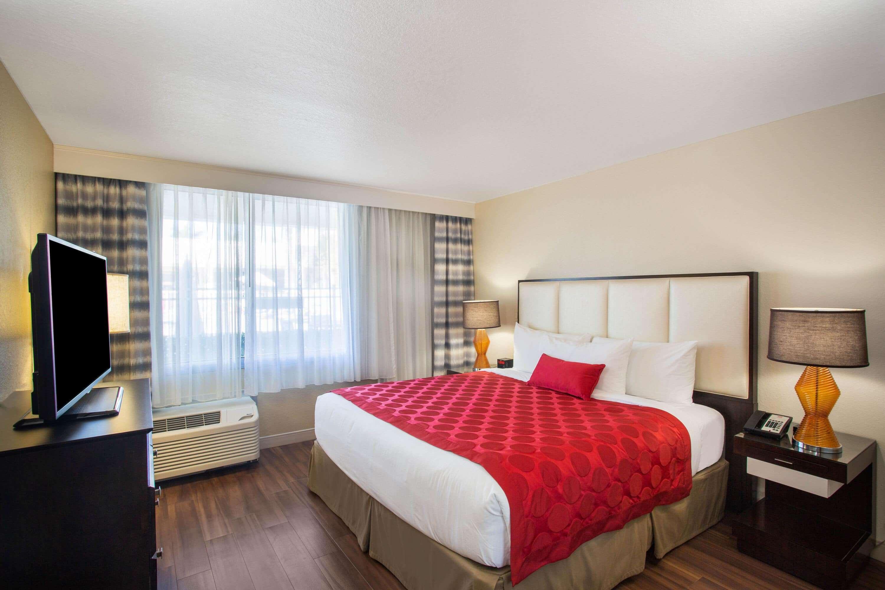 Suite King Bed Non Smoking