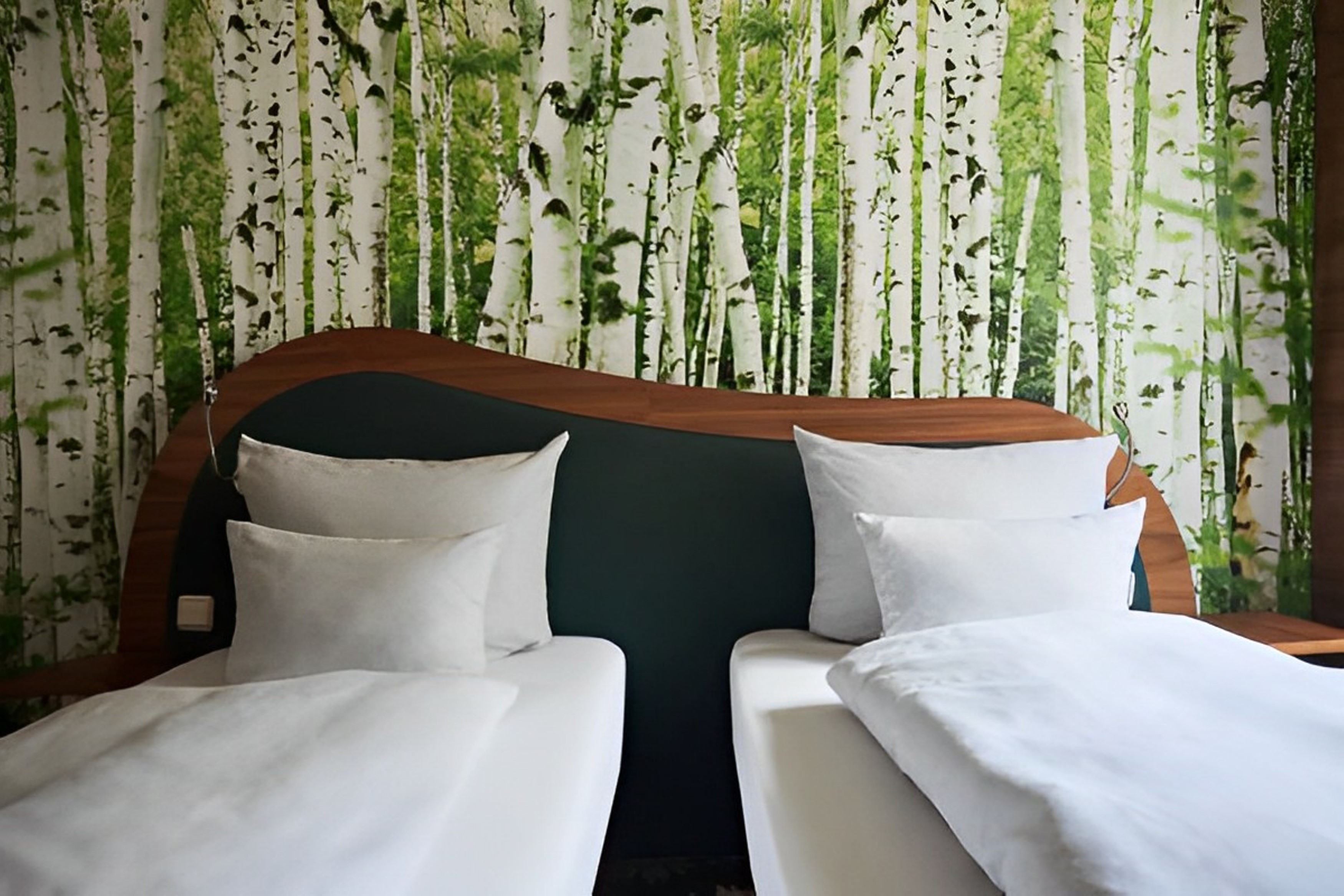 Twin Classic Garden View