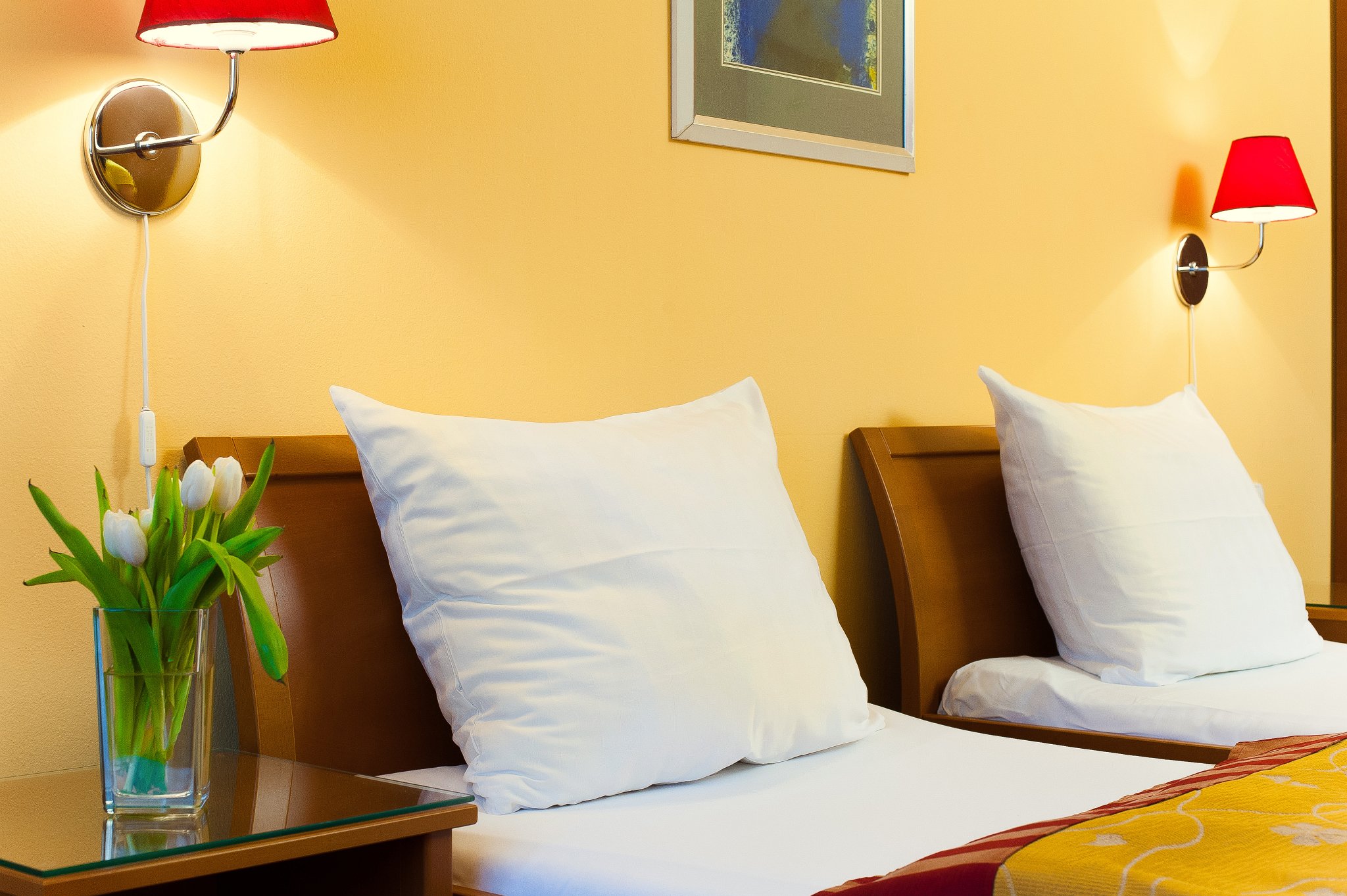 Double or Twin Standard