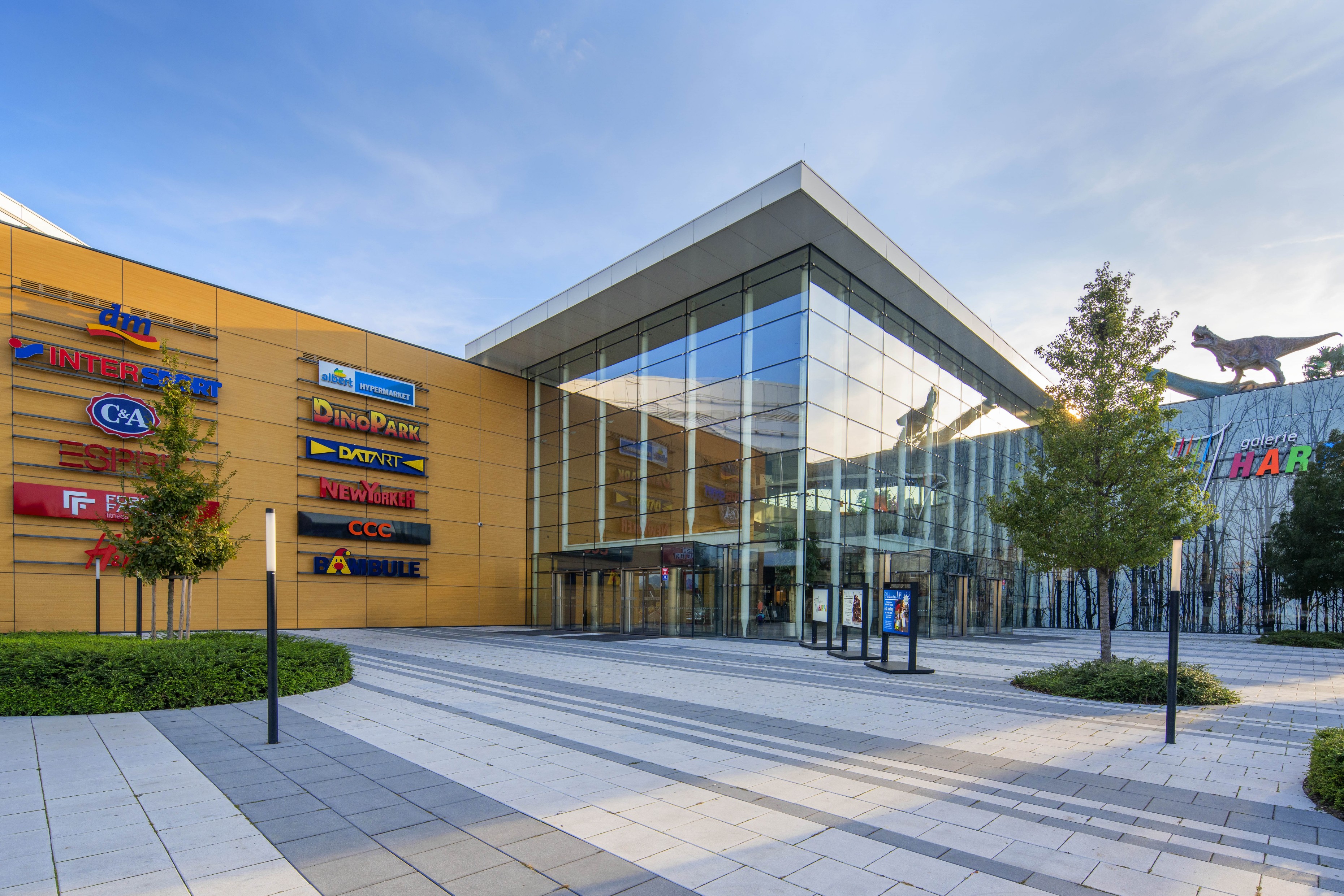 Sports and Entertainment