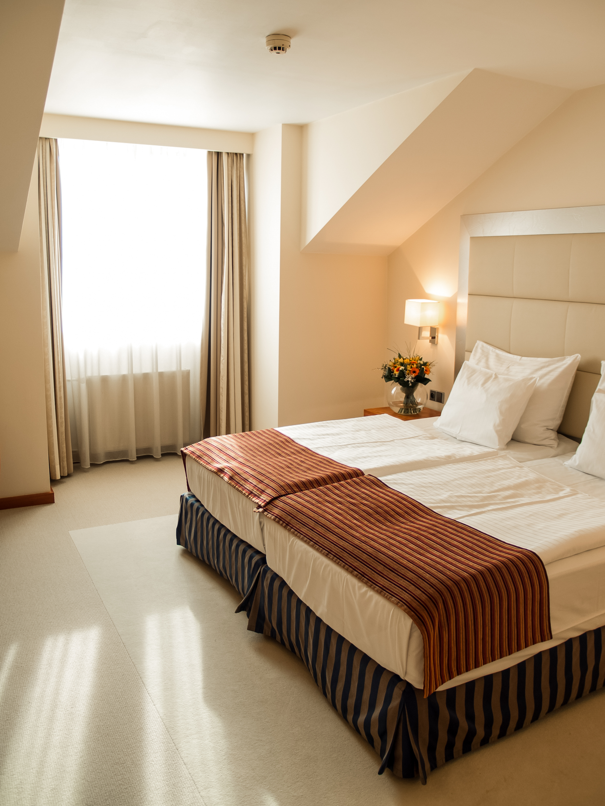 Double or Twin Standard