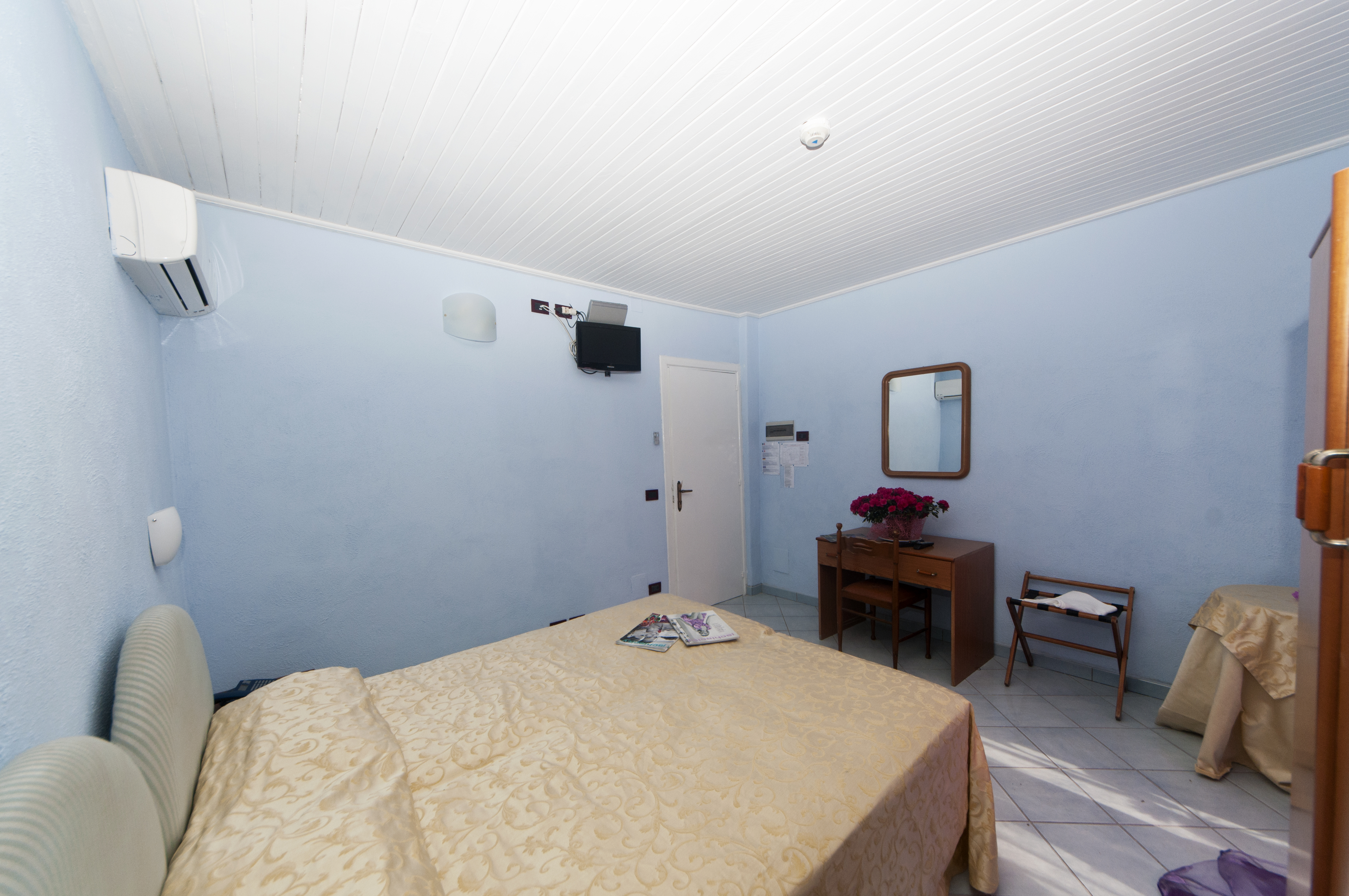 Double or Twin Economy