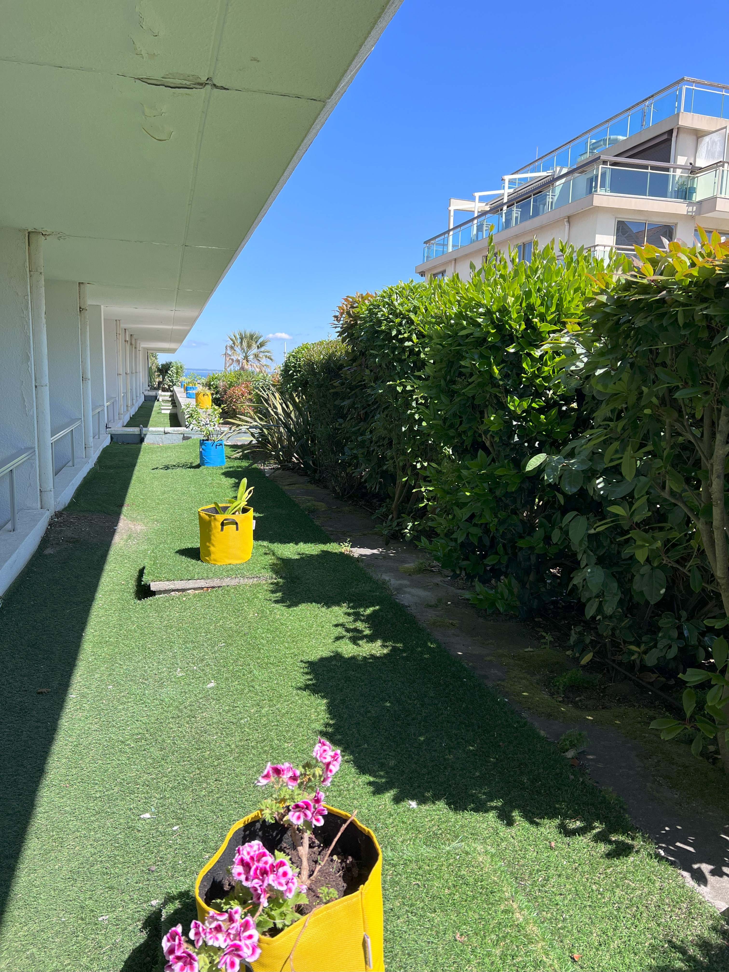 Double or Twin One Bed