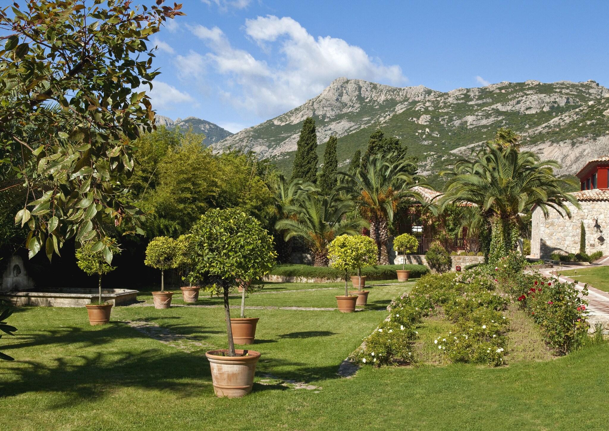 Suite Classic Mountain View