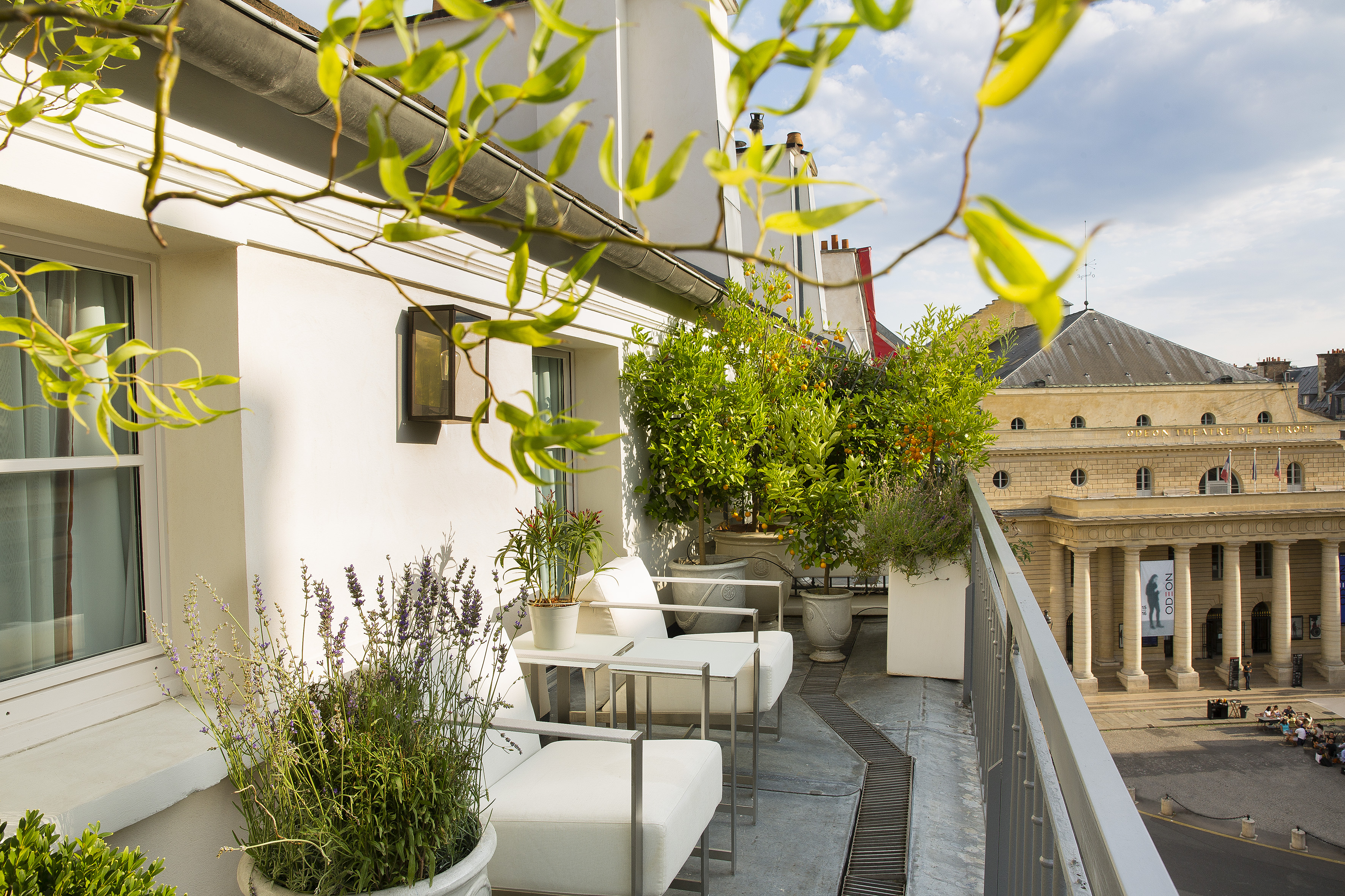 Double Deluxe with Terrace