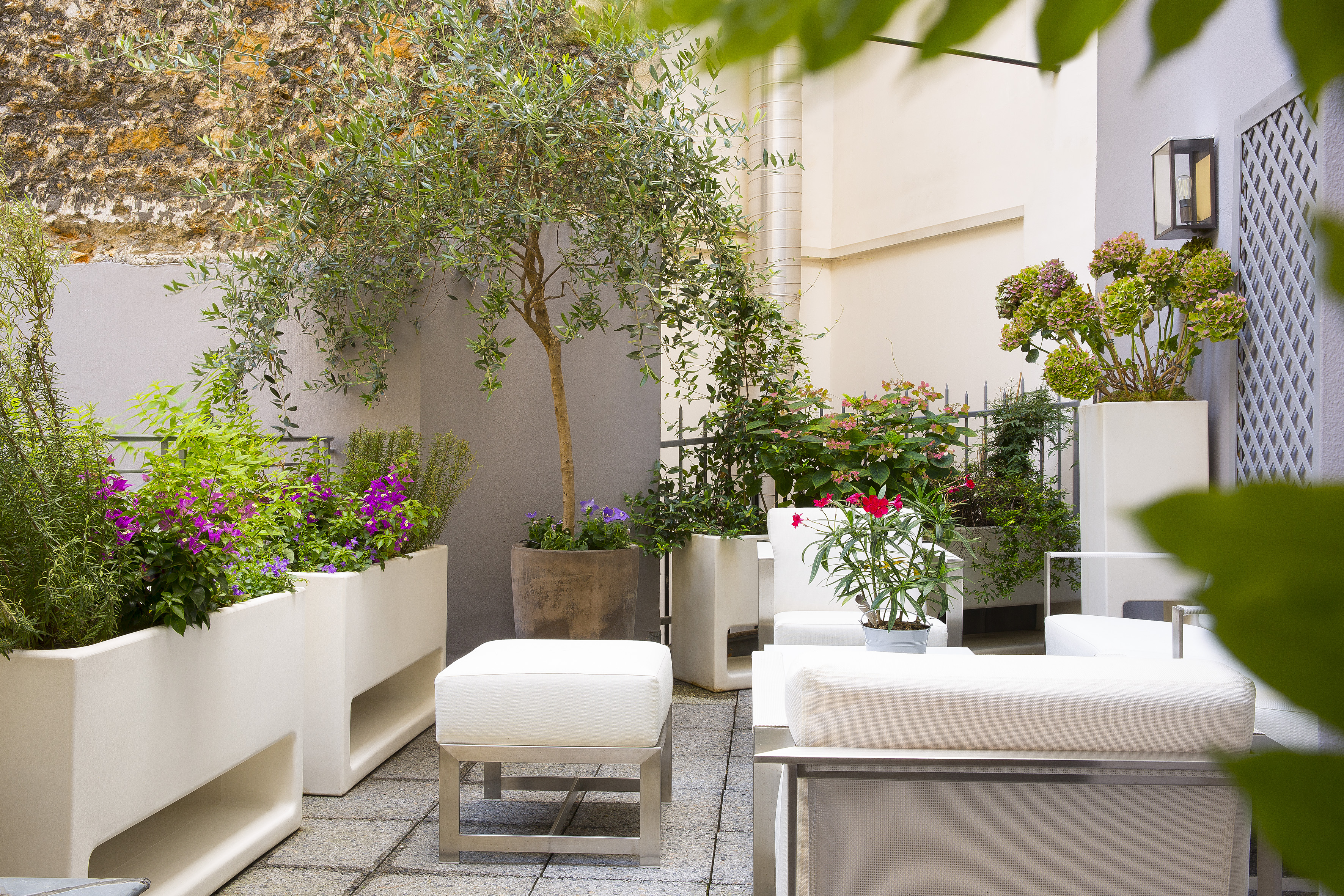 Suite Deluxe with Terrace