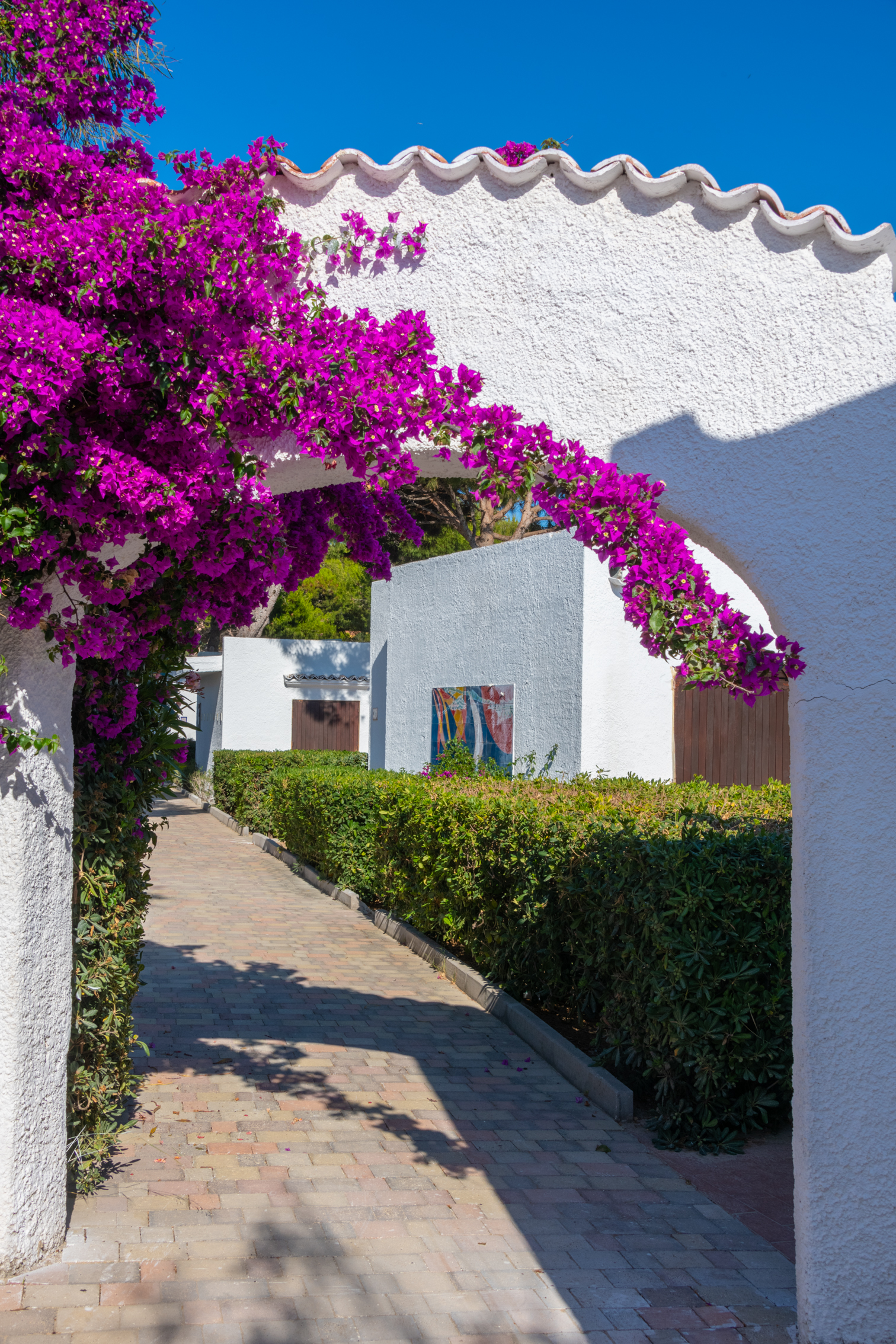 Bungalow with Terrace