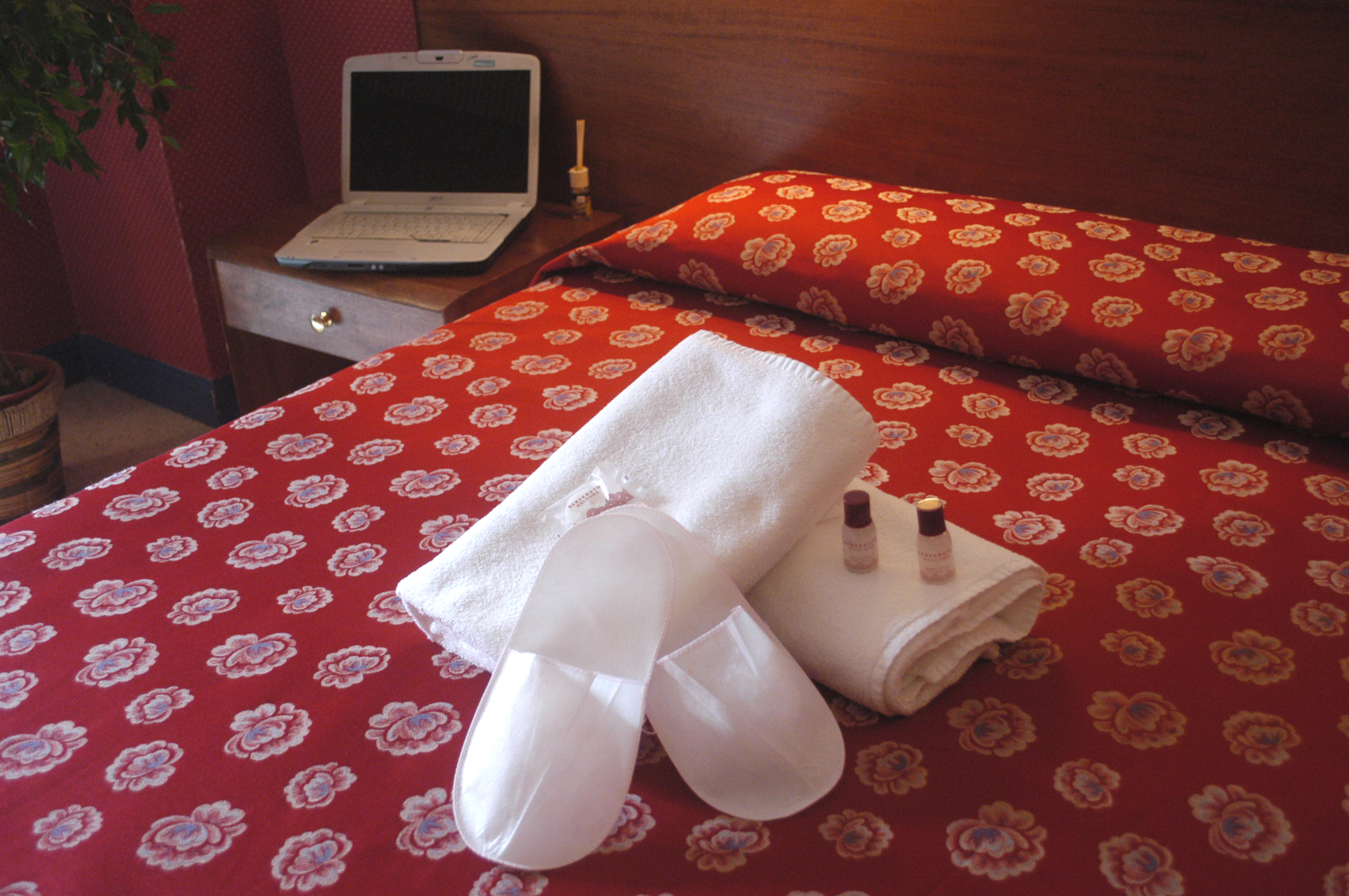 Double or Twin Standard