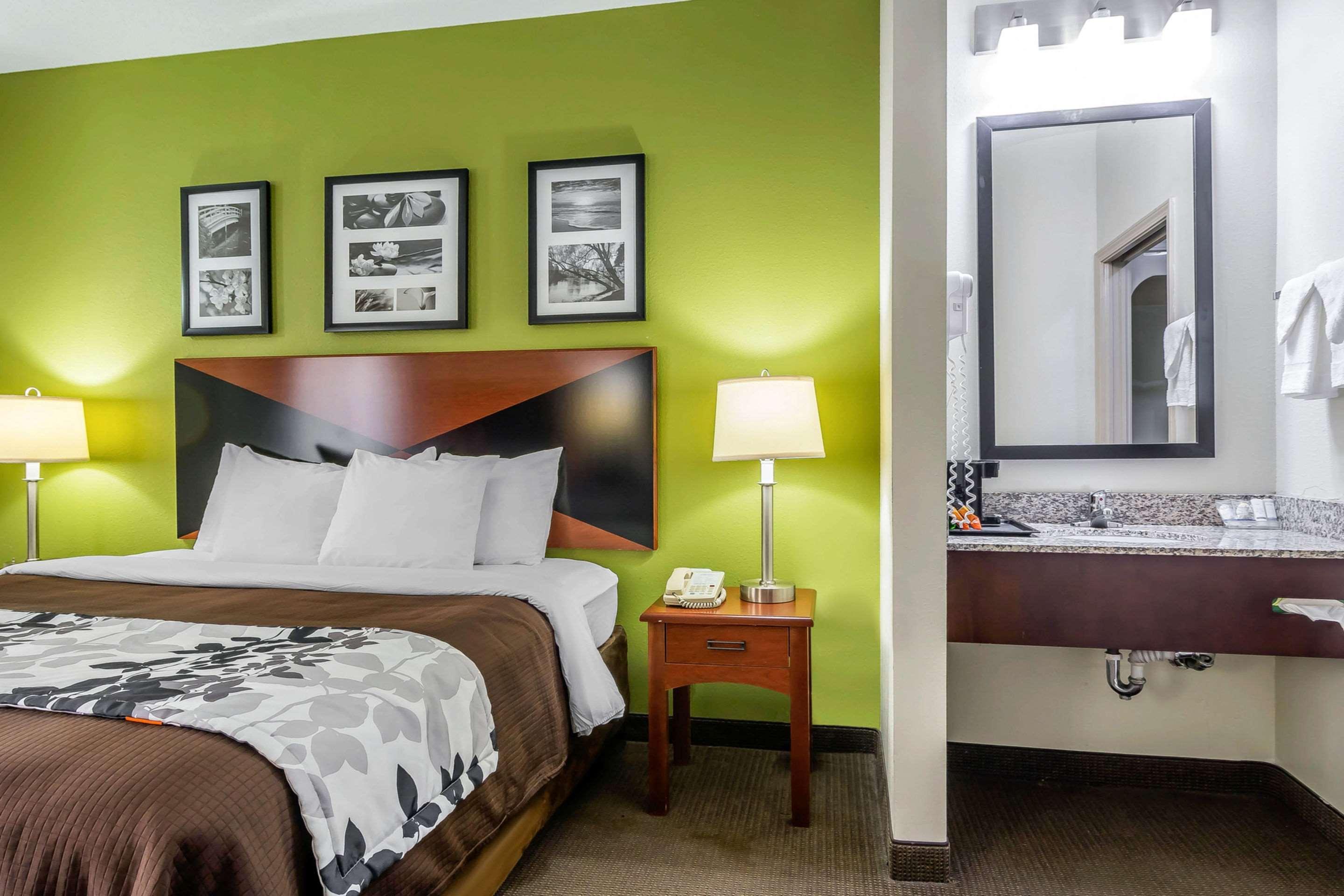 Suite King Bed Non Smoking