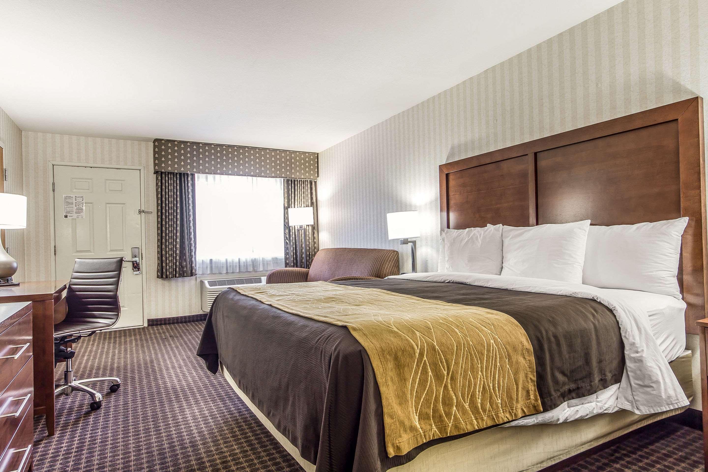 Double King Bed Non Smoking