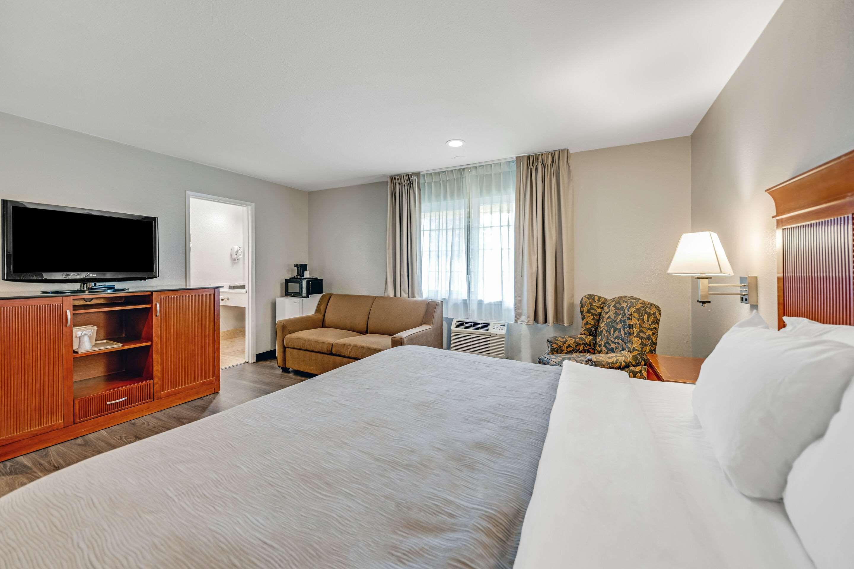 Suite King Bed Non Smoking