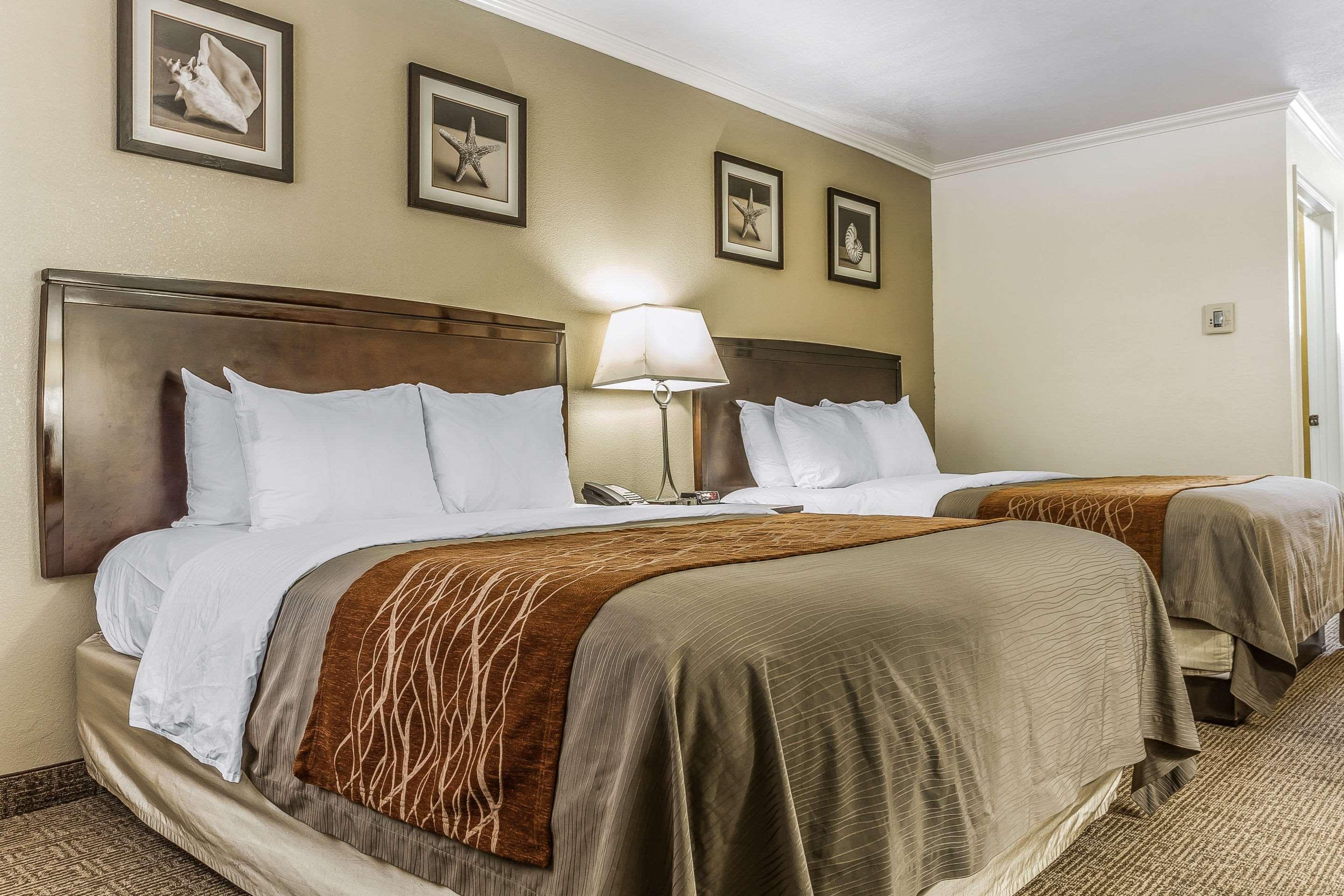 Double Two Queen Beds Non Smoking