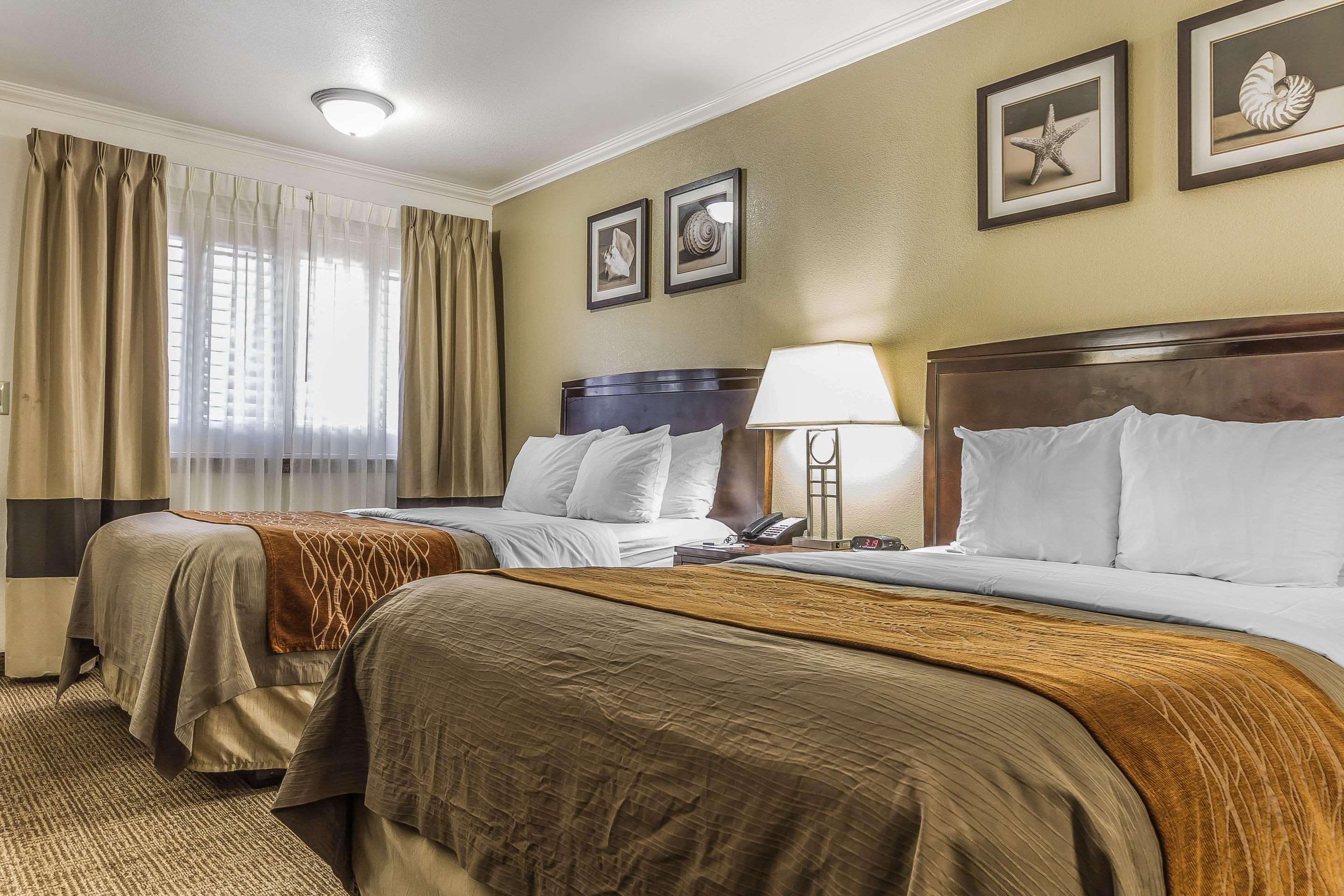 Double Two Double Beds Non Smoking