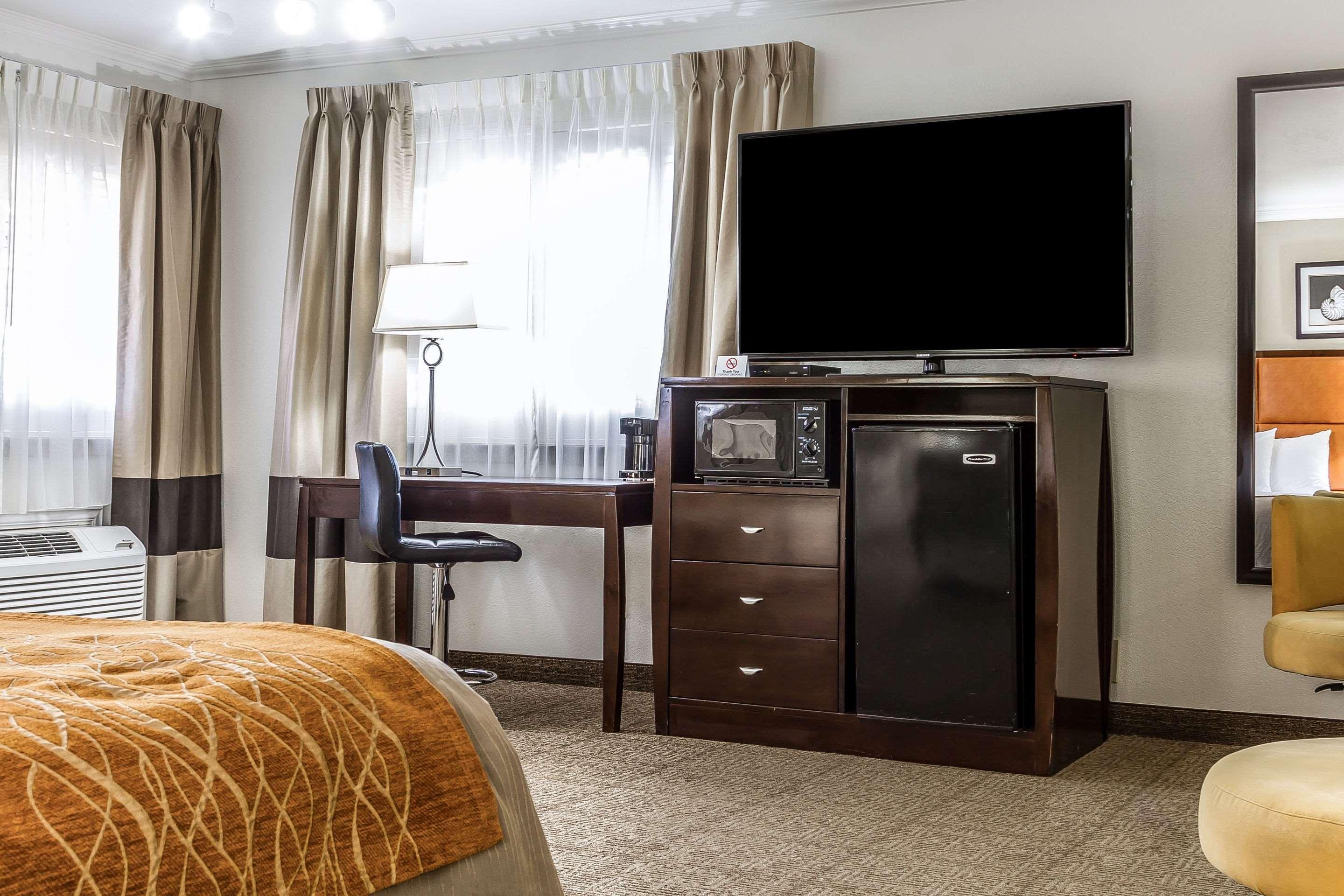 Suite King Bed Non Smoking