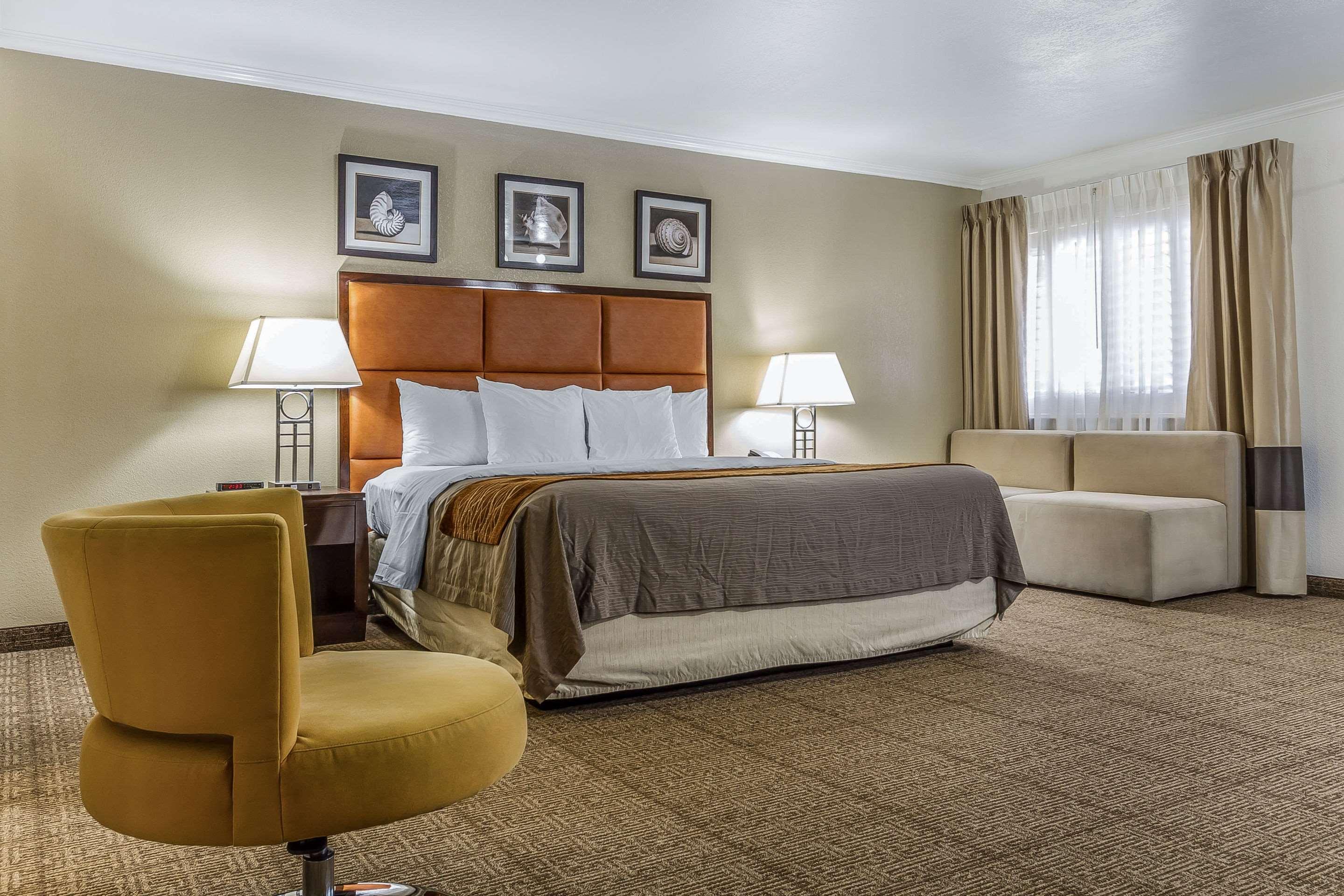 Suite King Bed Non Smoking