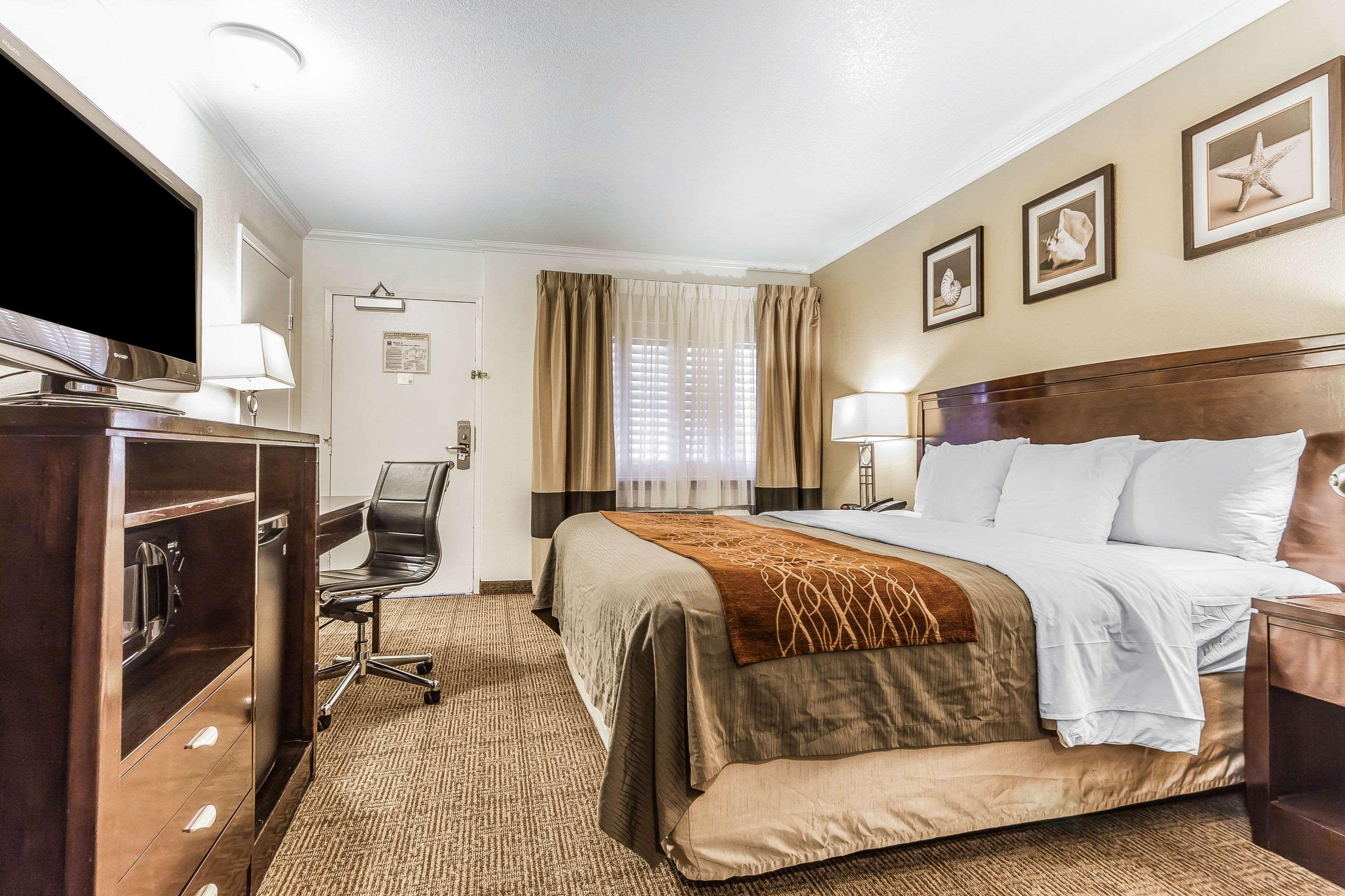 Double King Bed Non Smoking