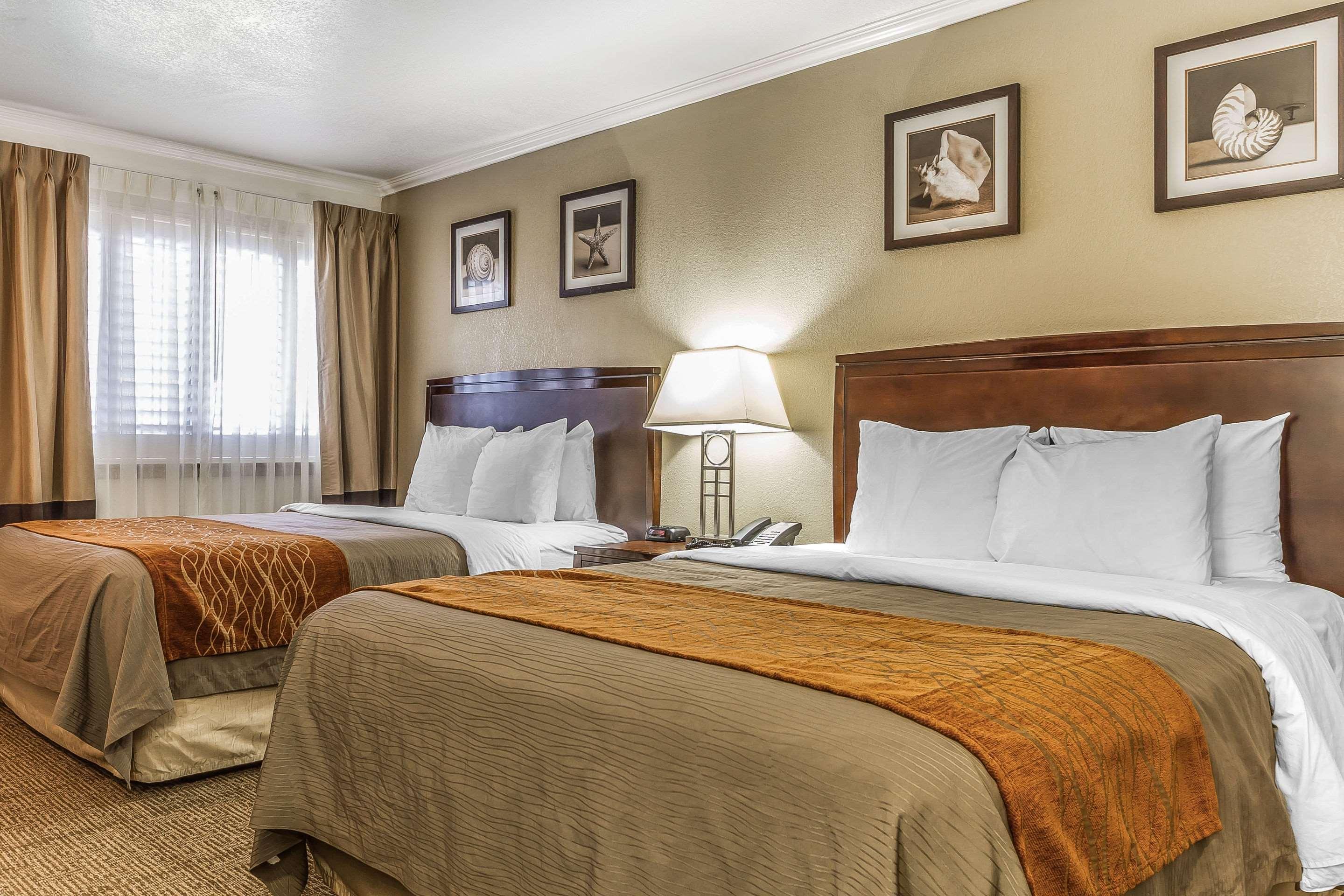 Quadruple Two Queen Beds Non Smoking