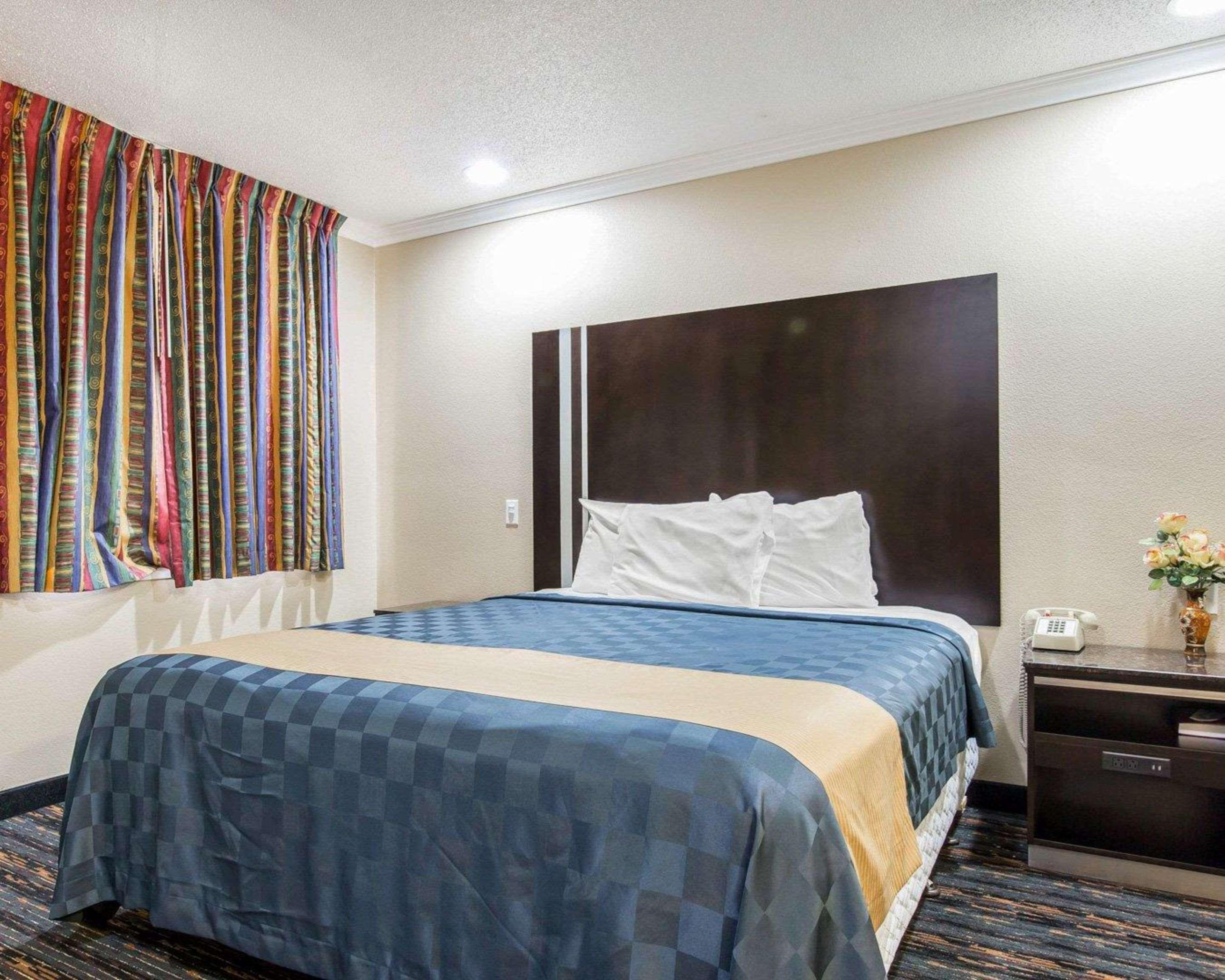 Double King Bed Non Smoking