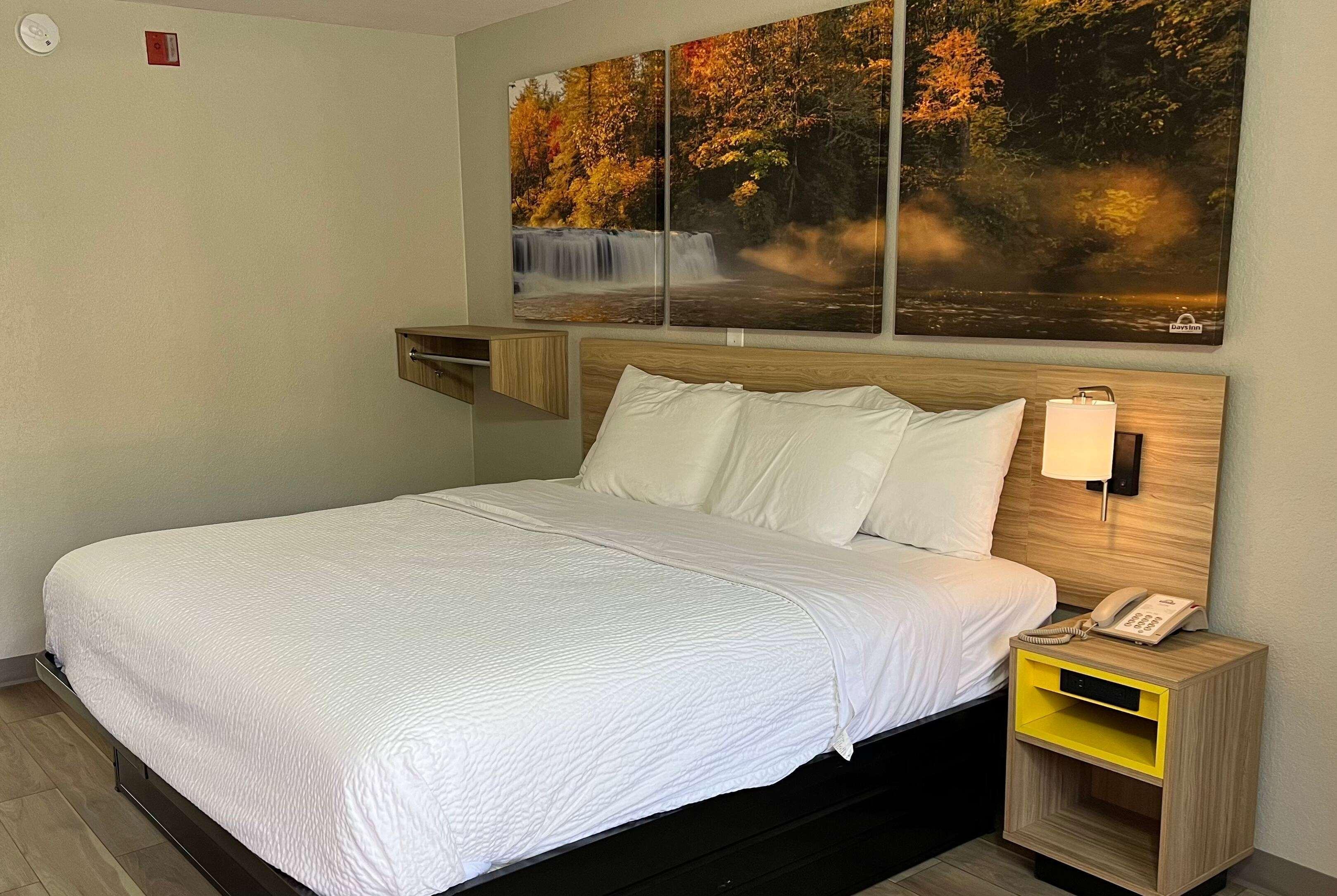 Room Accessible-queen Size Bed