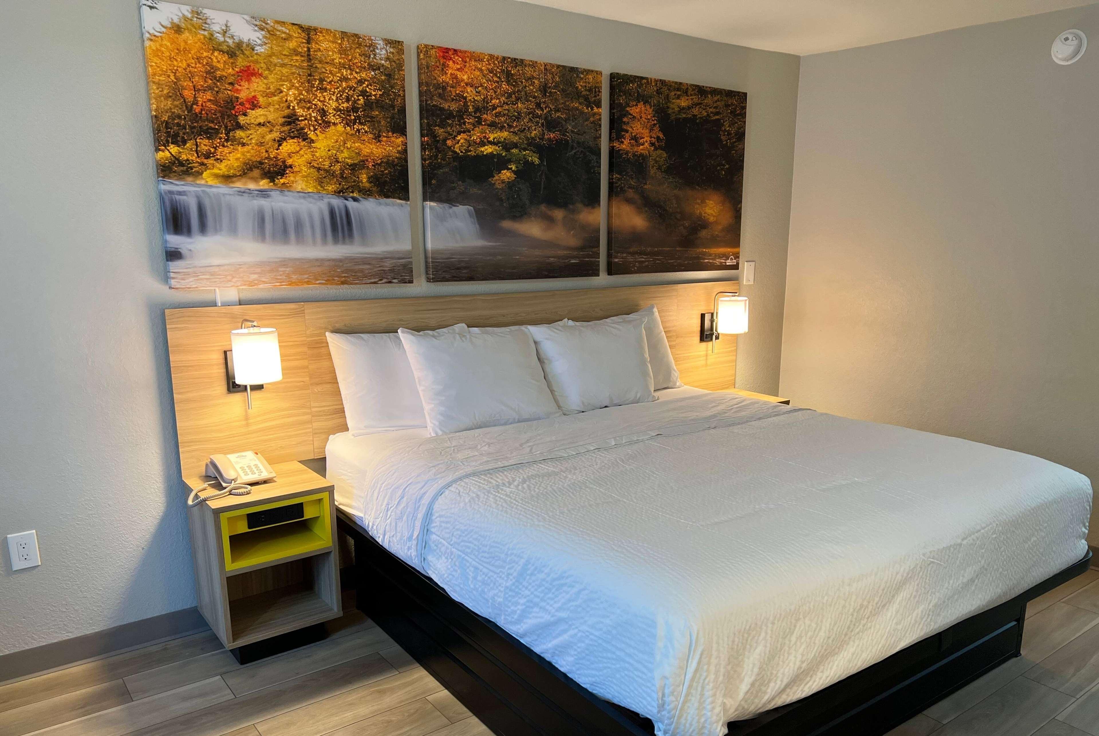 Room Accessible King Size Bed